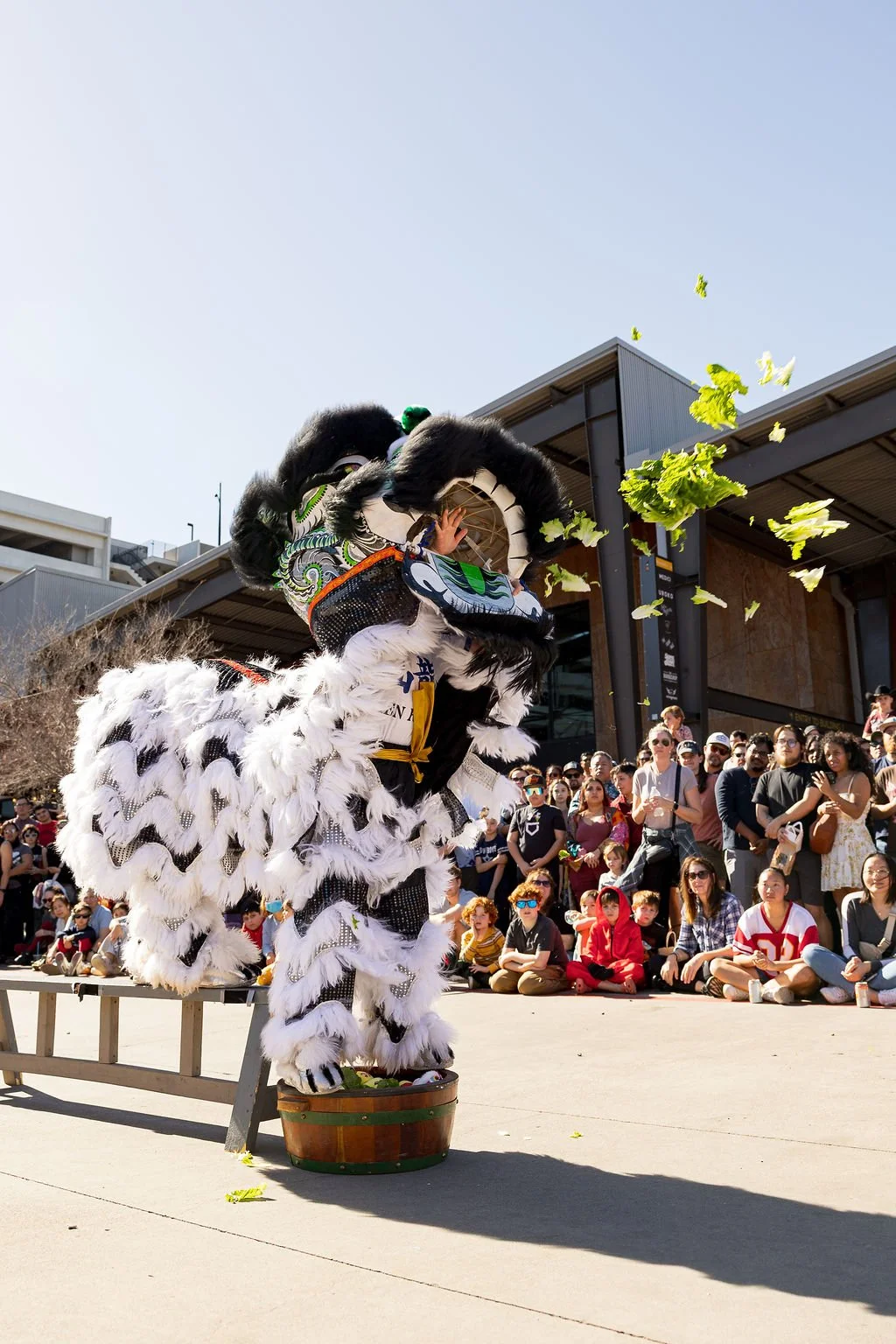 LNY-Festival-2025-dragon-lion-dances-218.jpg