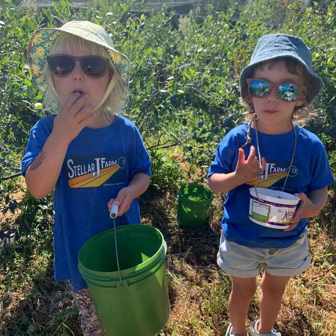 New SJF tees are out! No guarantees that you'll be as cute as these blueberry pickers in your new shirt, but you can show your Stellar Love rocking a super soft tee. Available at Saturday farmers market @jeffcofarmersmarkets
One more big thank you to