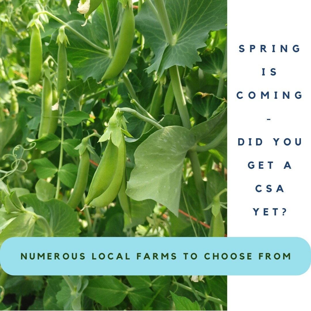 It is CSA sign up season! CSAs really help jump start the season for farms, financially and emotionally. I love growing food, but I love knowing who I'm growing it for even more. If you're in the Chimacum area, we have some amazing farms with diverse