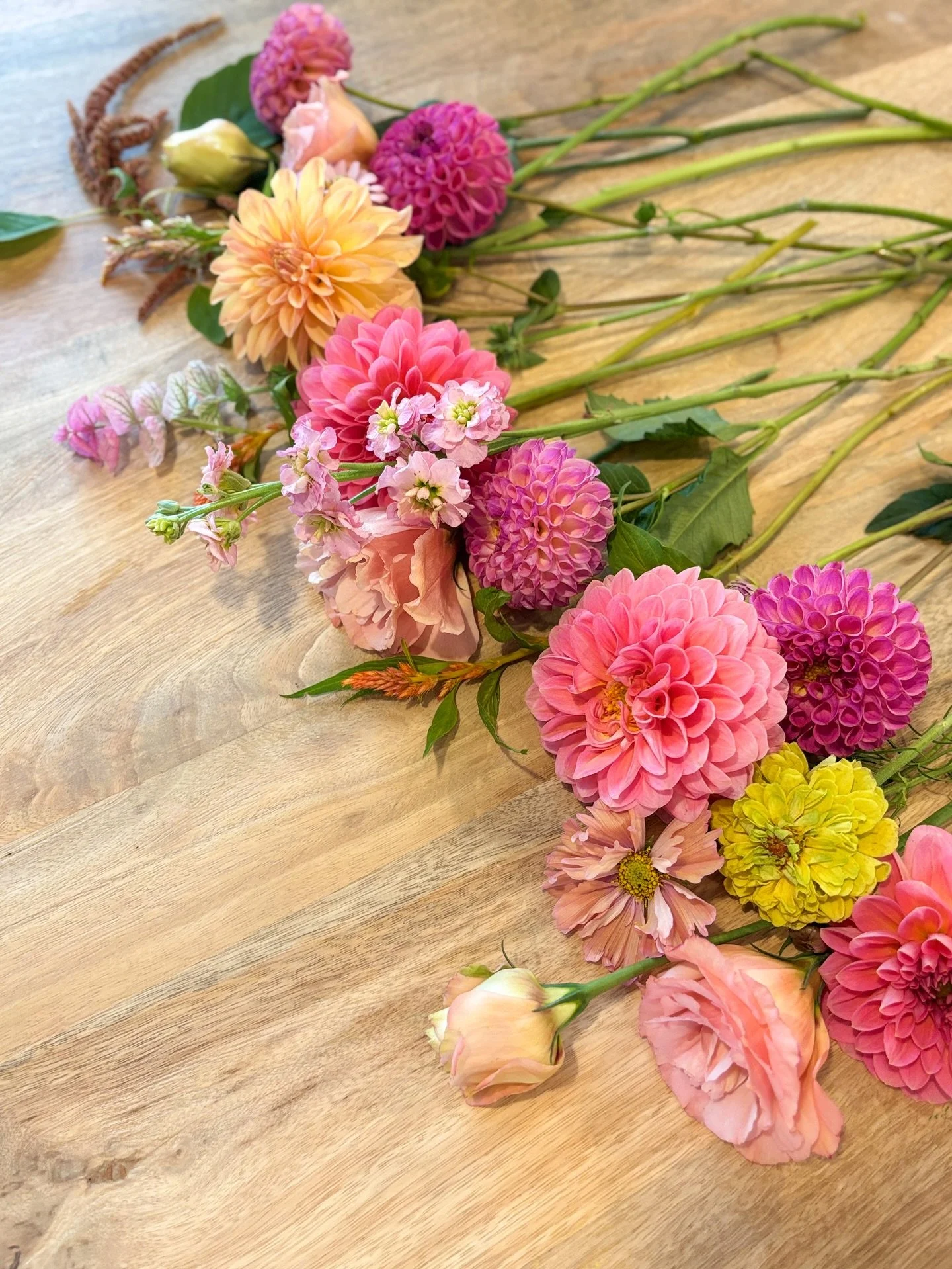 💐🍂✨