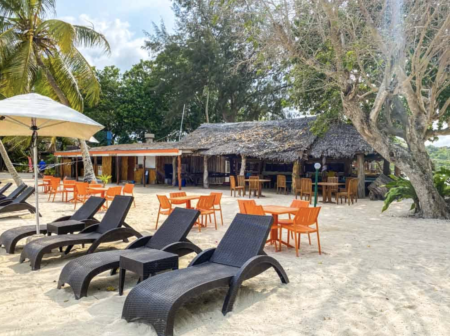 calypso bar.png
