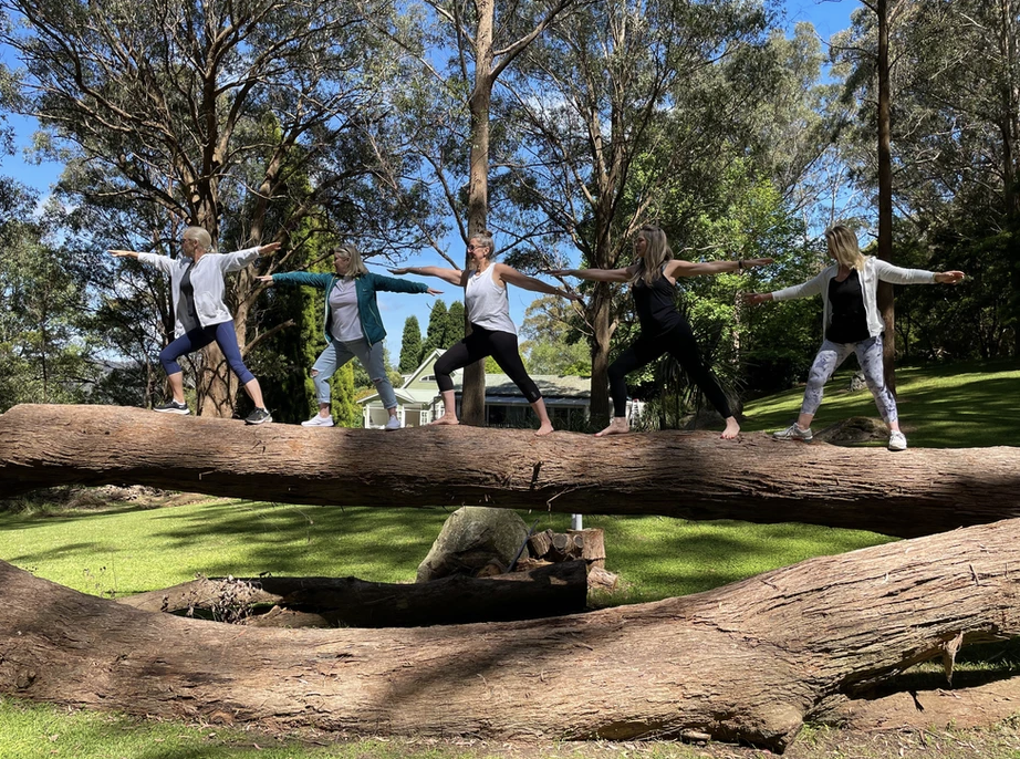 FALLEN TREE.png