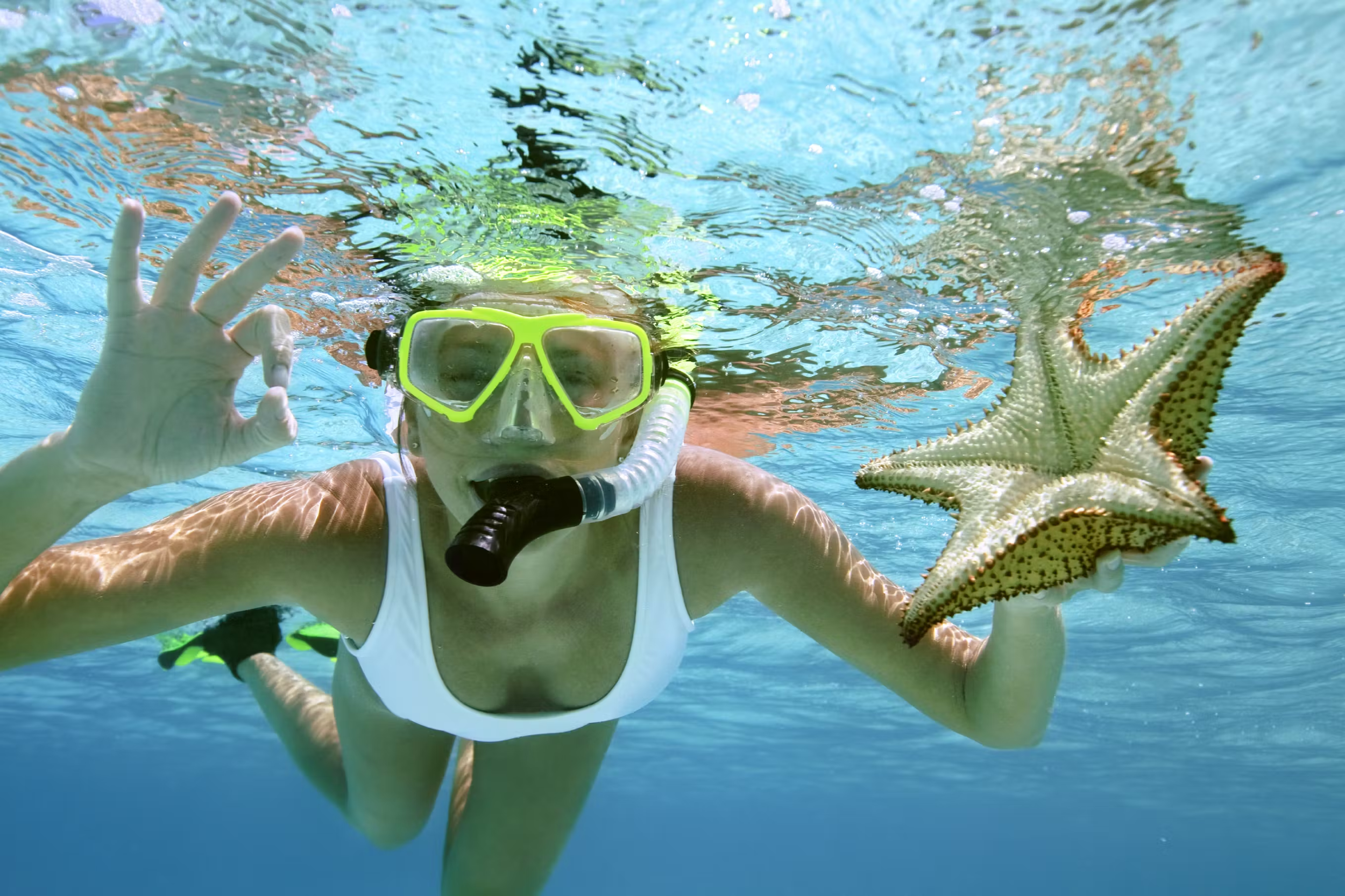 Snorkeling Erakor Lagoon .png