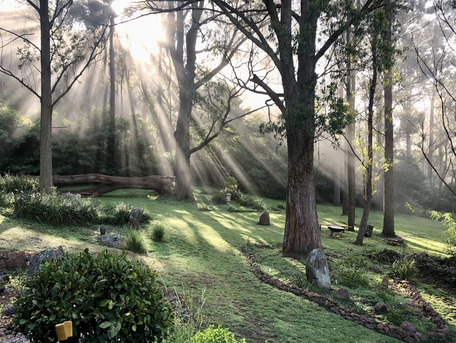 SUNRAYS.png
