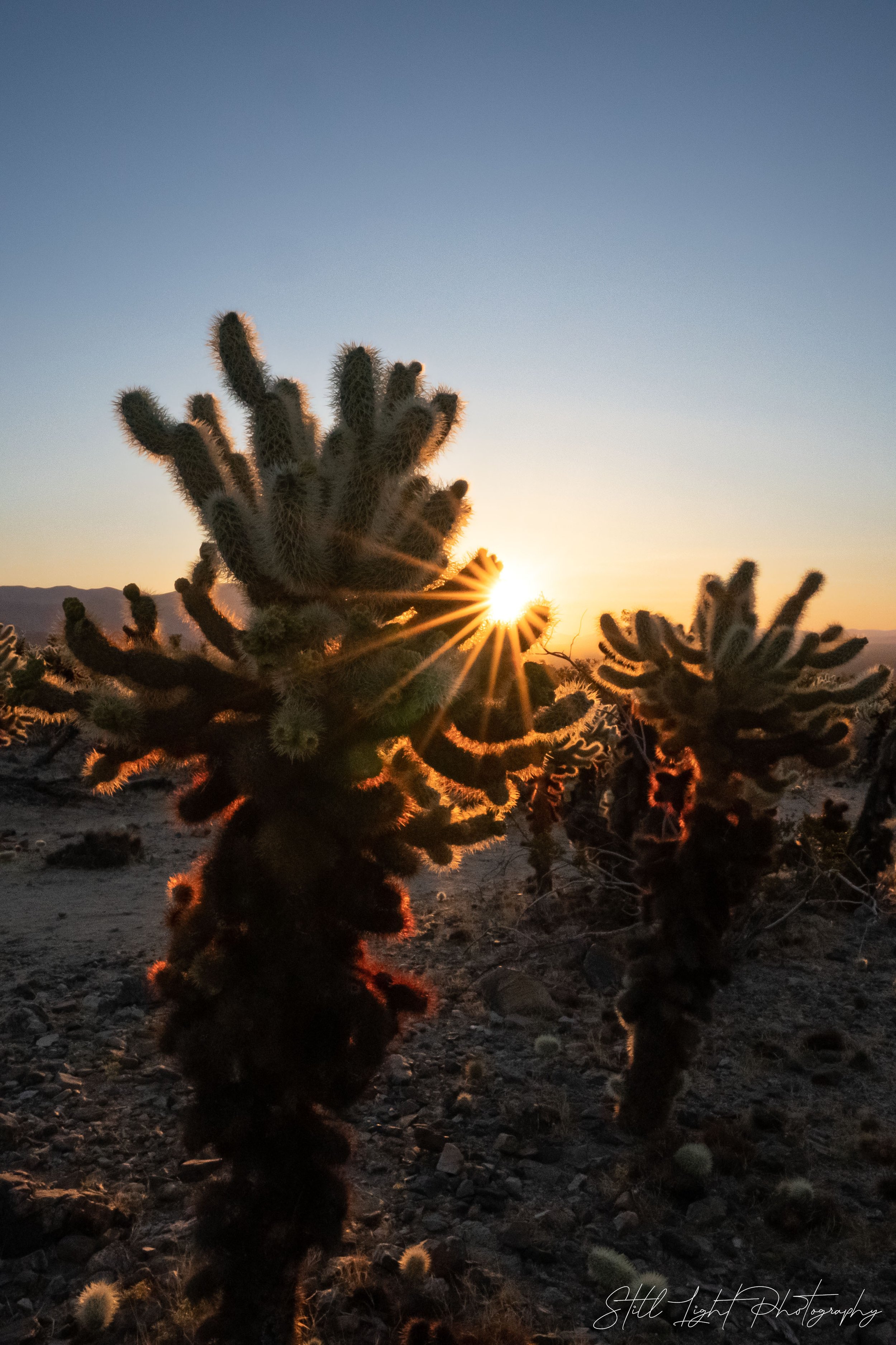 SoCal Sunrise