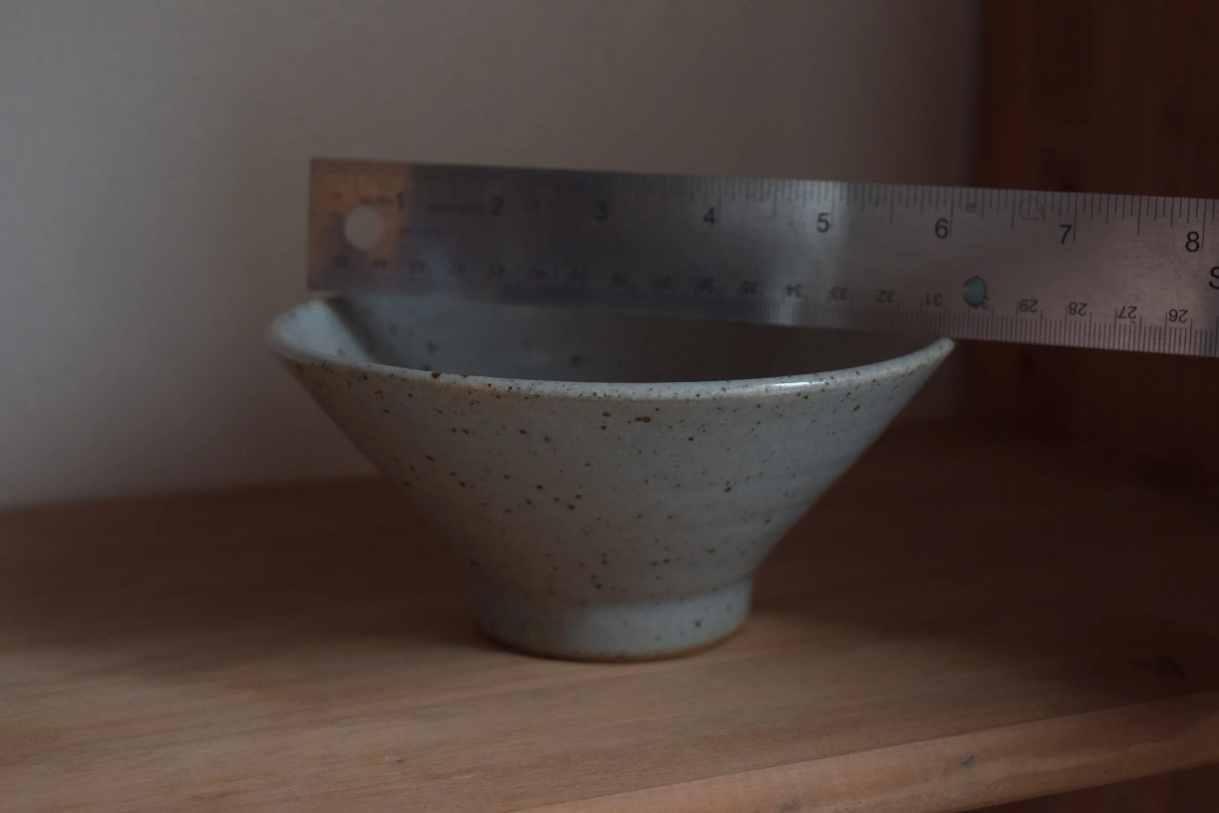 DSC_1029.JPG