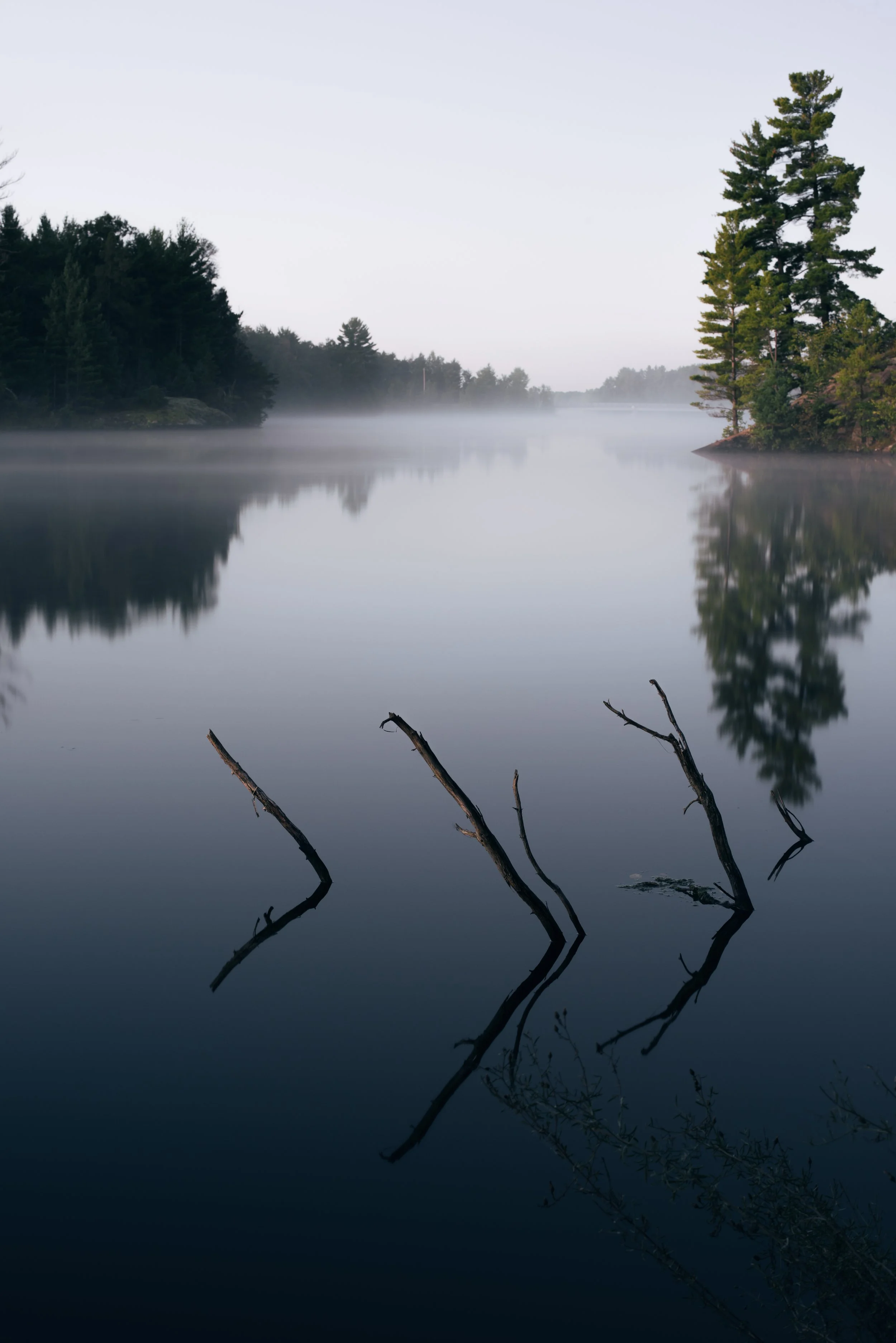 _DSC6994.jpg