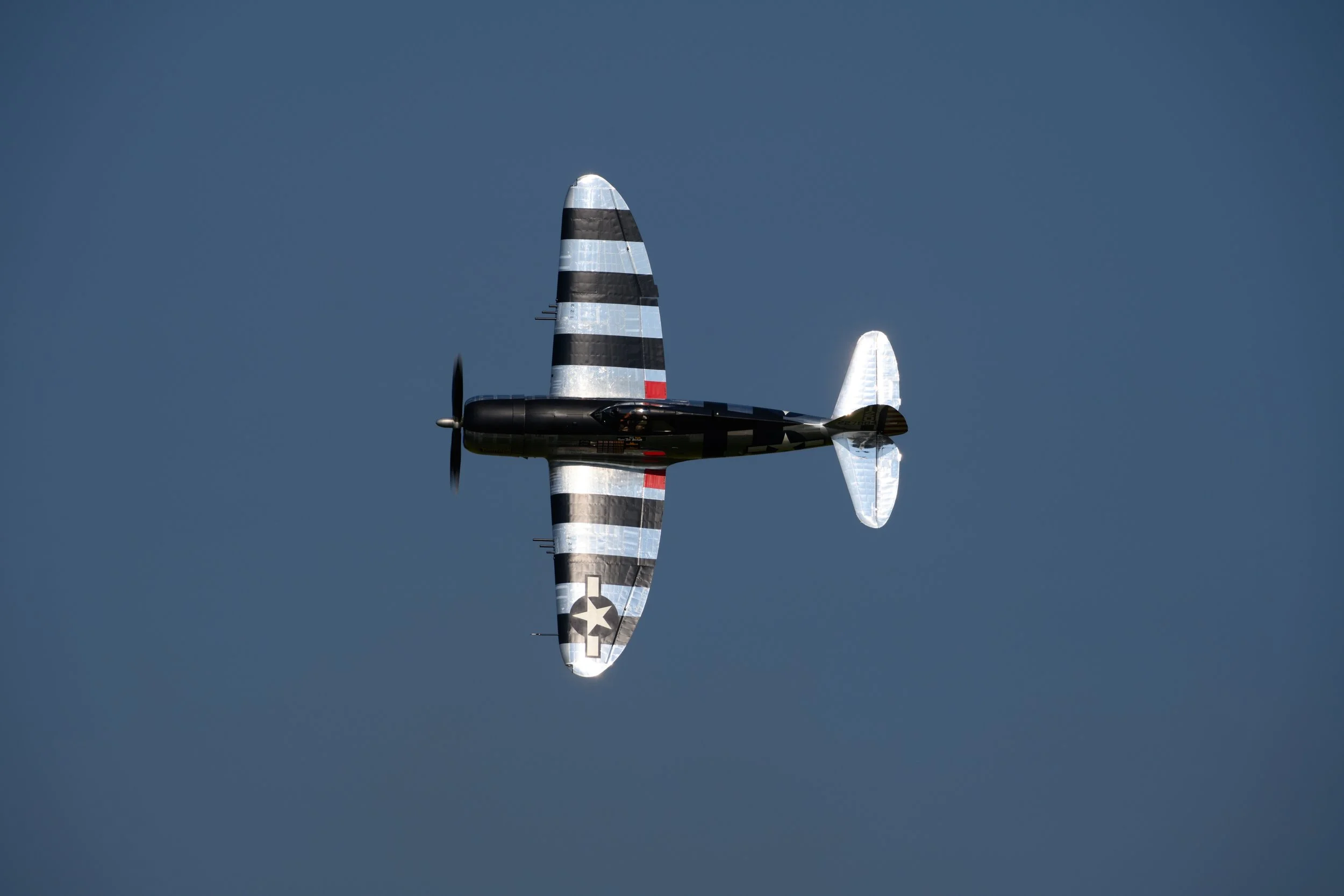 RJM_2409.jpg