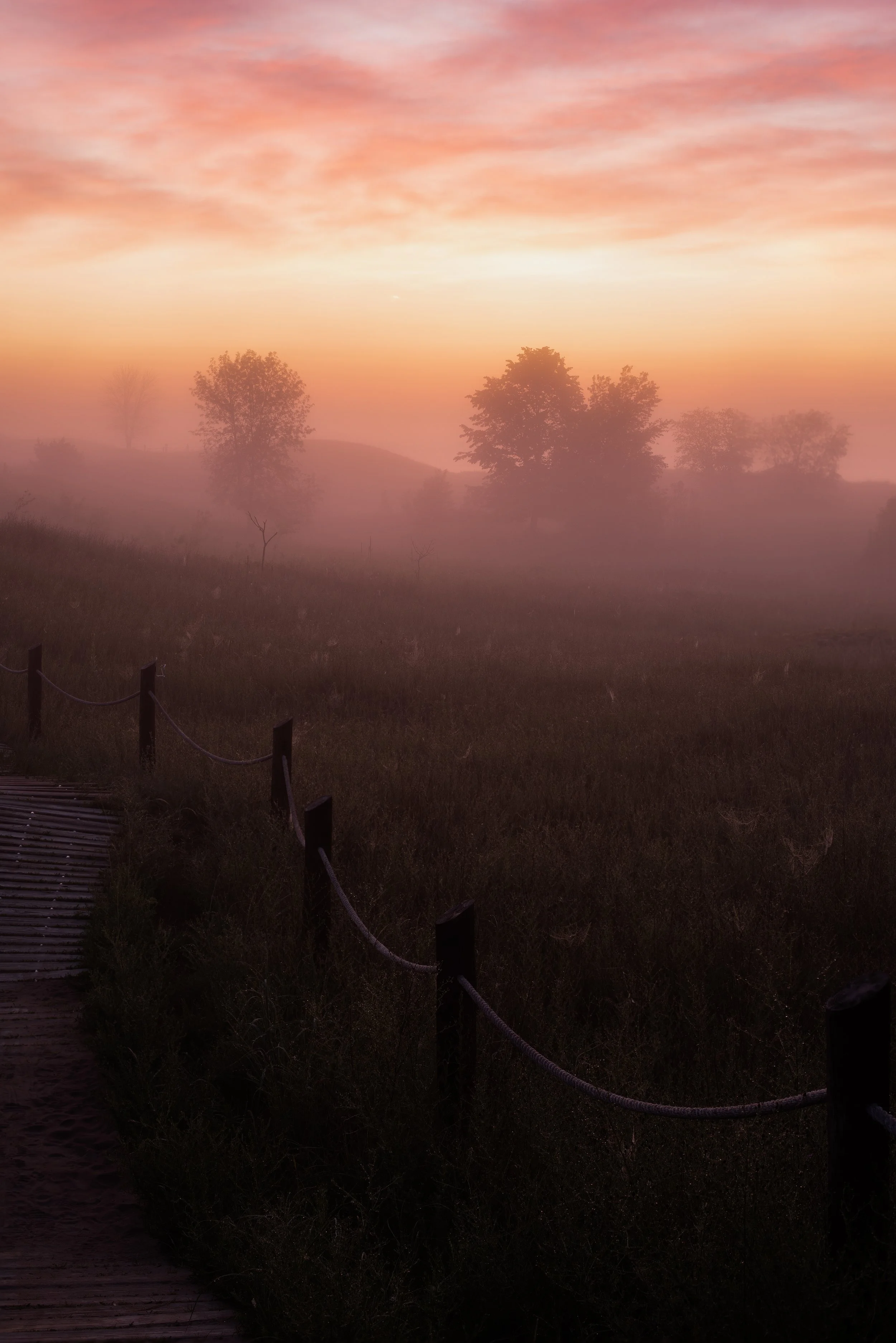 _DSC9634-Edit.jpg