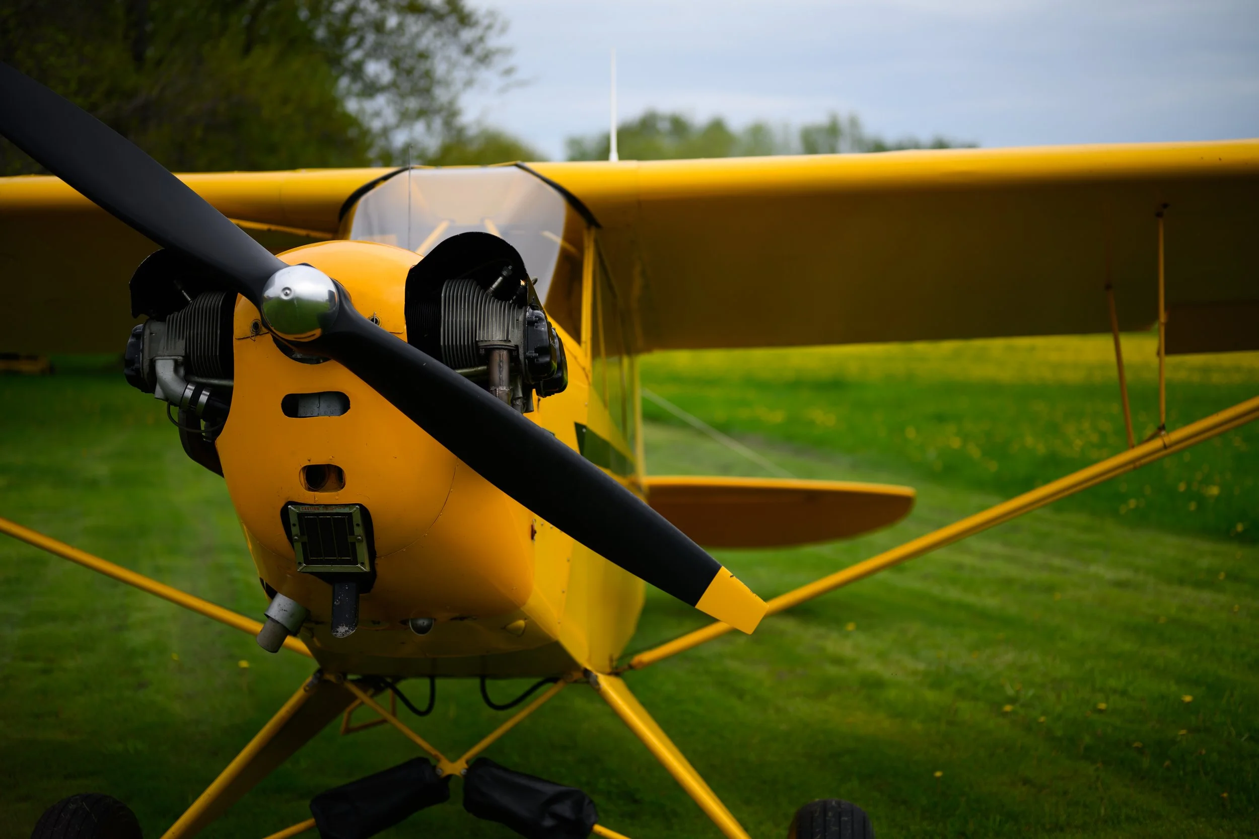 RJM_1619.jpg