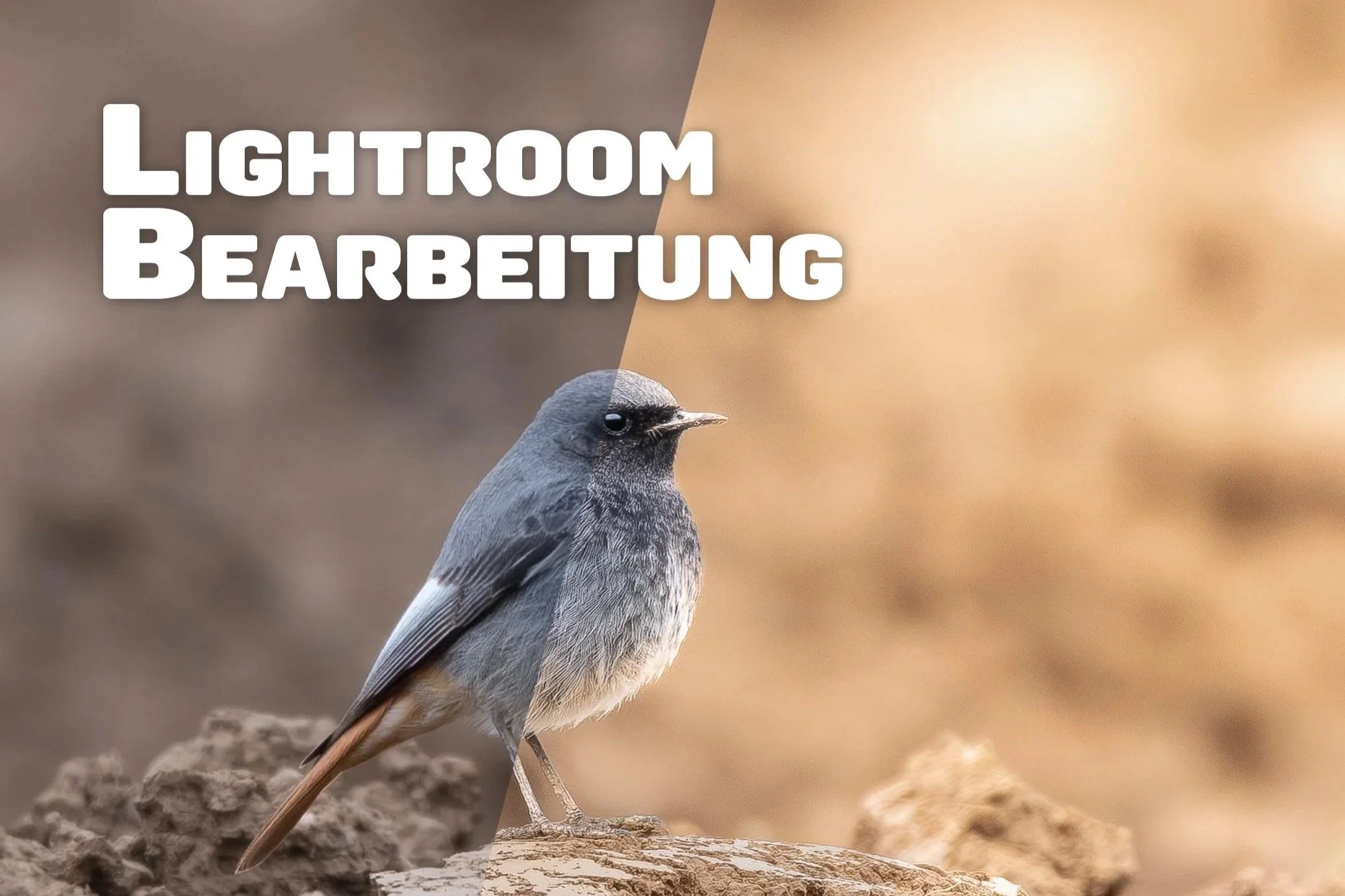 Lightroom - Bearbeite mit mir ein Bild Schritt für Schritt