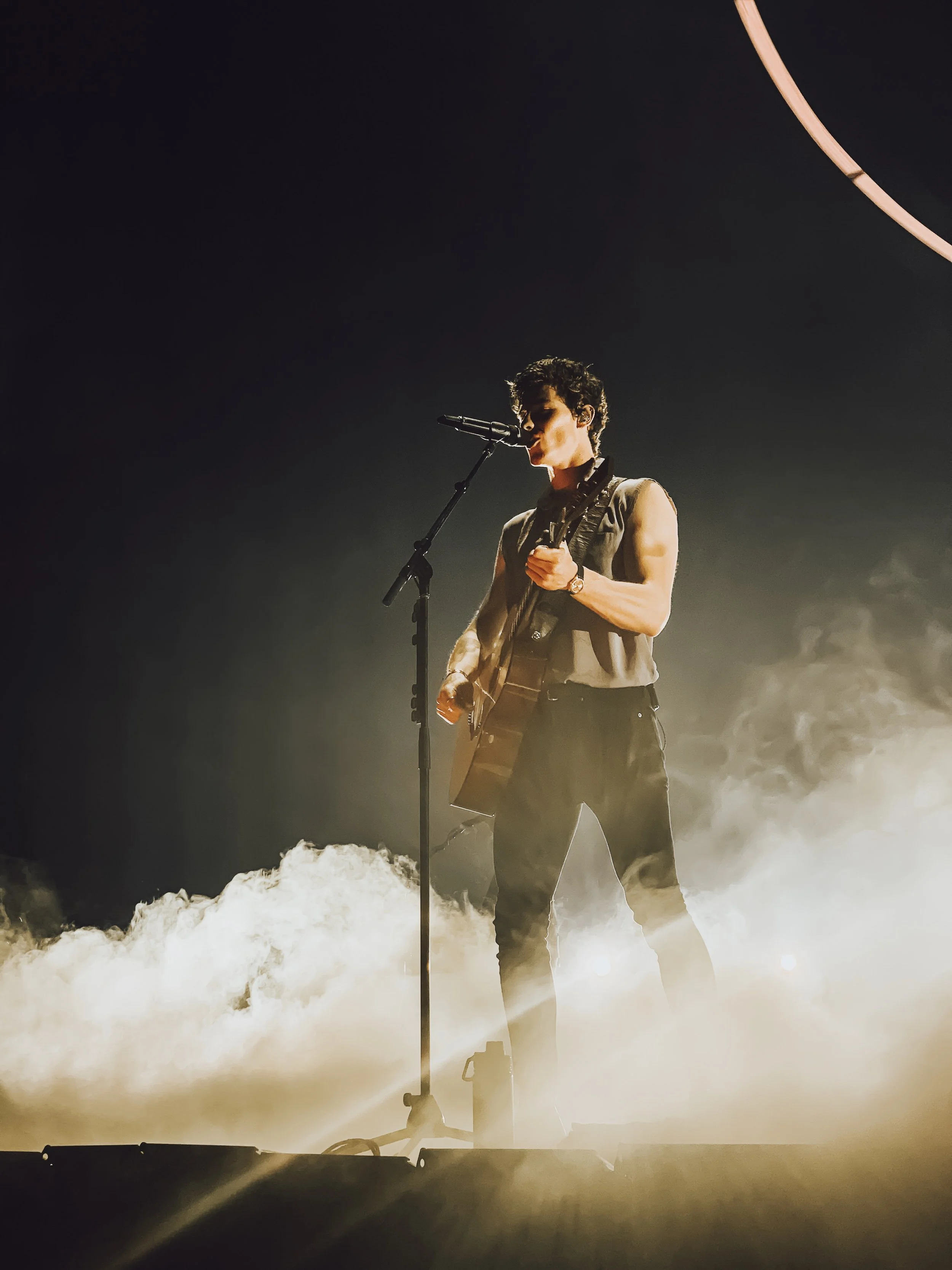 Shawn Mendes 2019.jpg