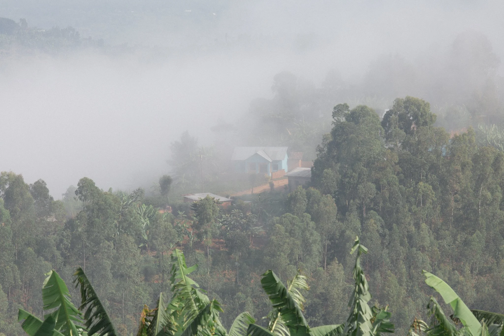 rwanda_byWM-4.jpg