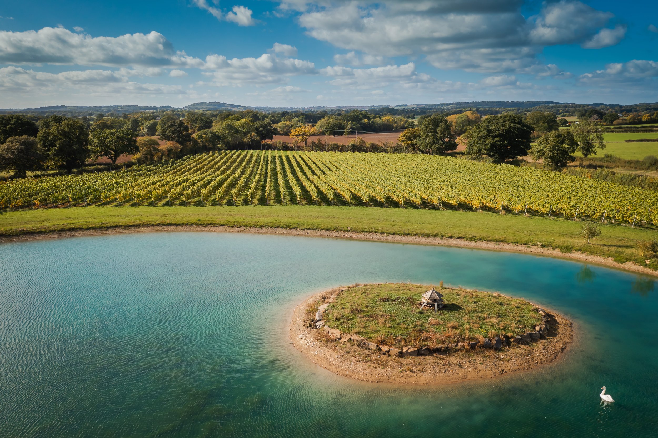 Working English vineyard at Wagtail Retreat Worcestershire