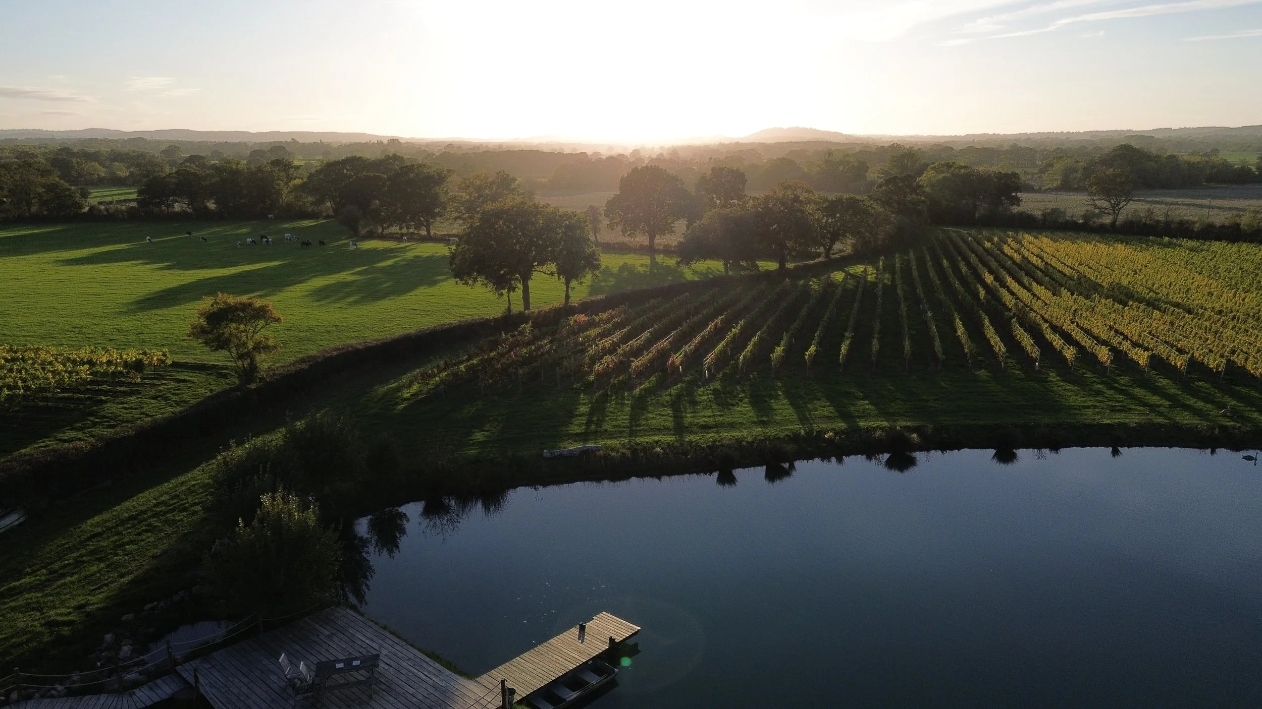 Wagtail Retreat Worcestershire Lake and countryside view with vineyard in the distance.JPG