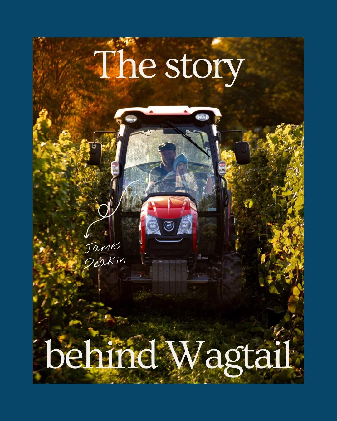 Before Wagtail, there was the land.

Over the years, it&rsquo;s been slowly restored by James alongside his family. A lake was built, a vineyard planted, and a space shaped over time.

What started as something personal has grown into something to sh