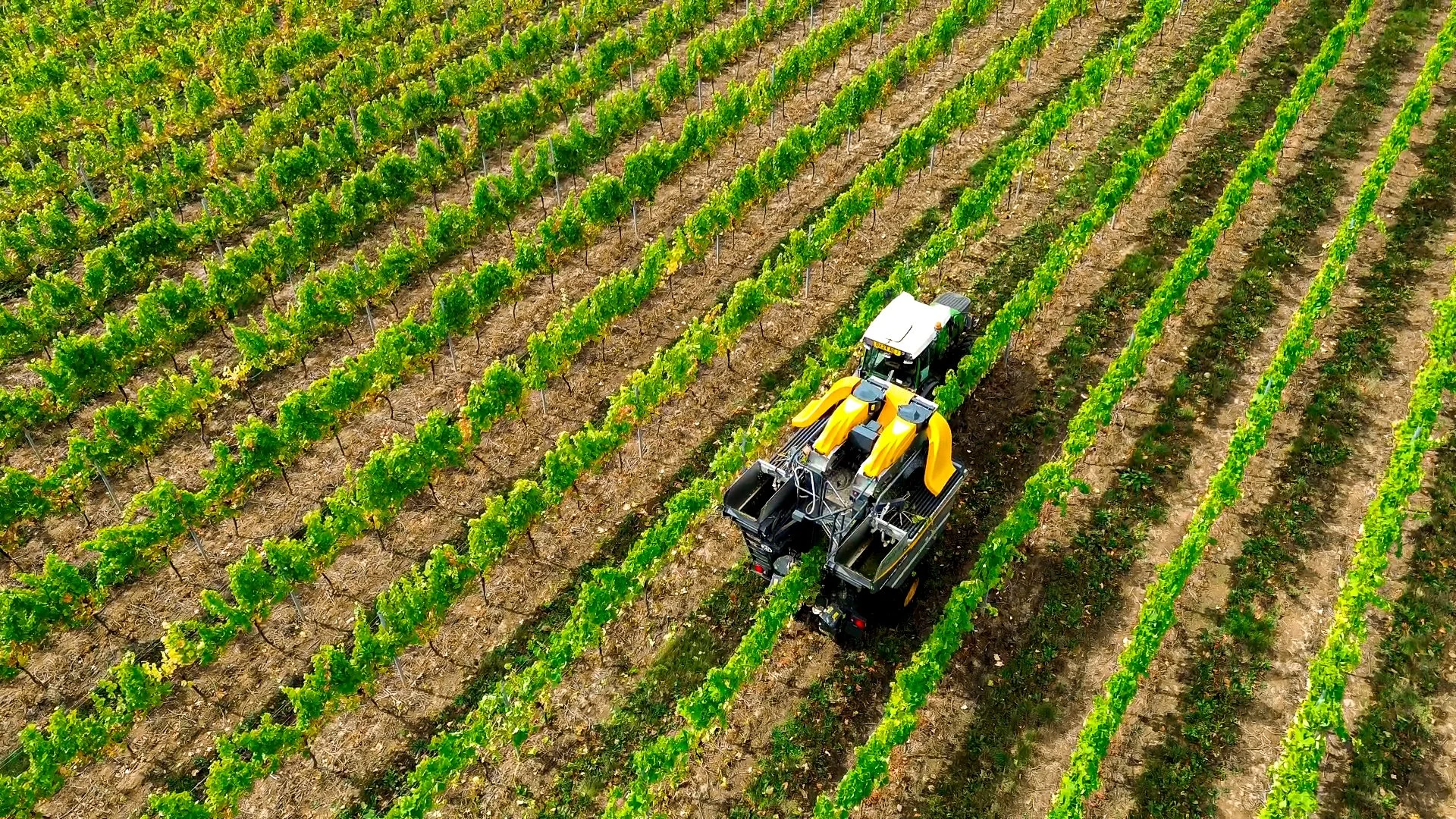 Wagtail Retreat Vineyard Harvest Worcestershire