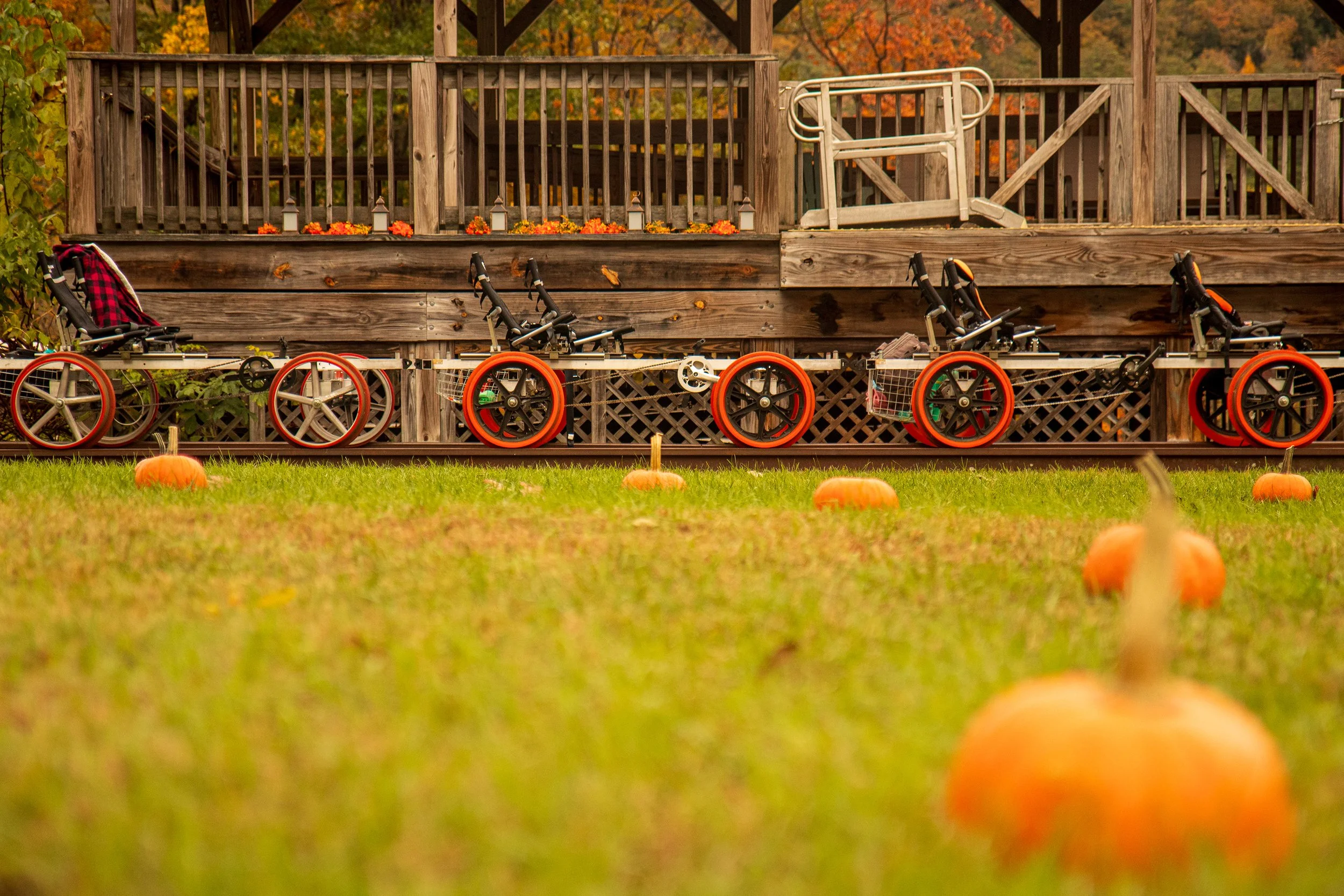 PUMPKIN PATCH PEDAL