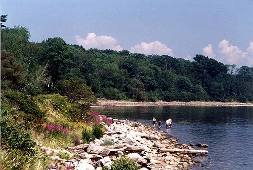 view of people on the shore of a body of water