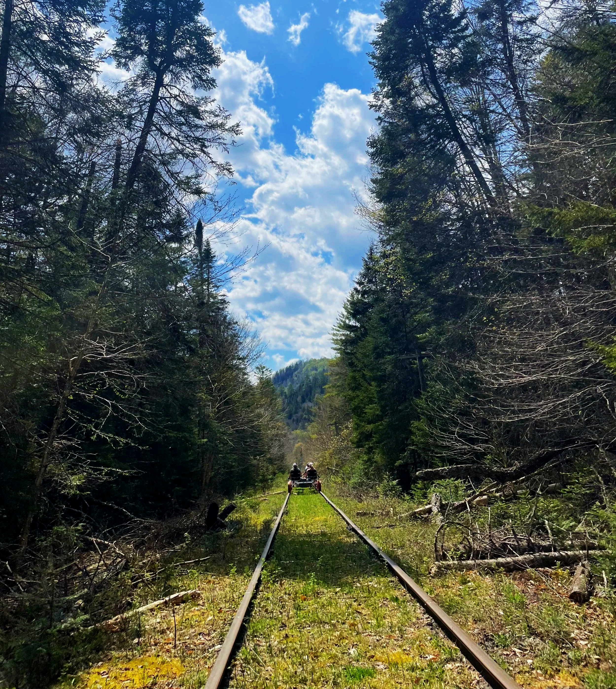 Rail bike ride in Boreas RIver Valley