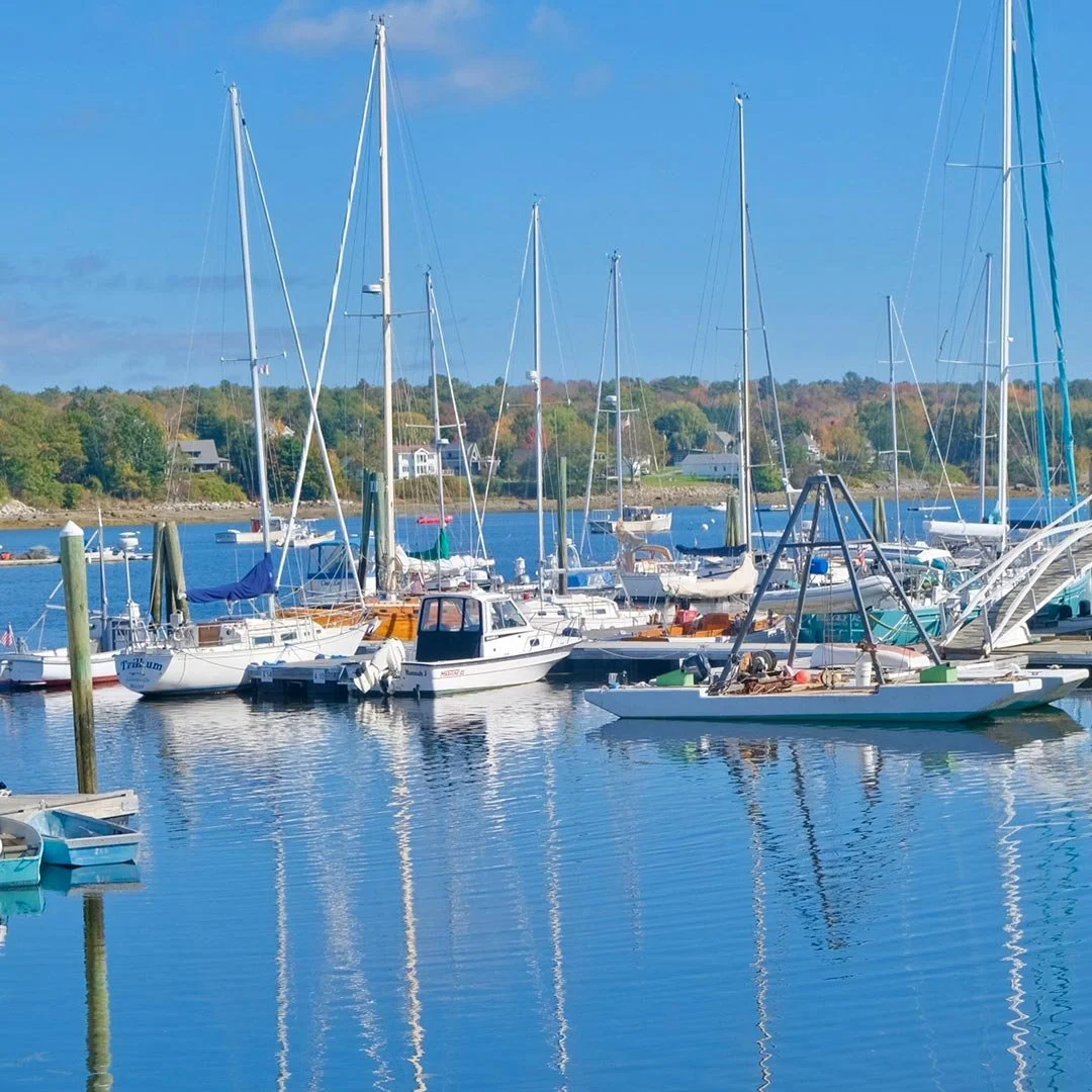 boats in a harbor