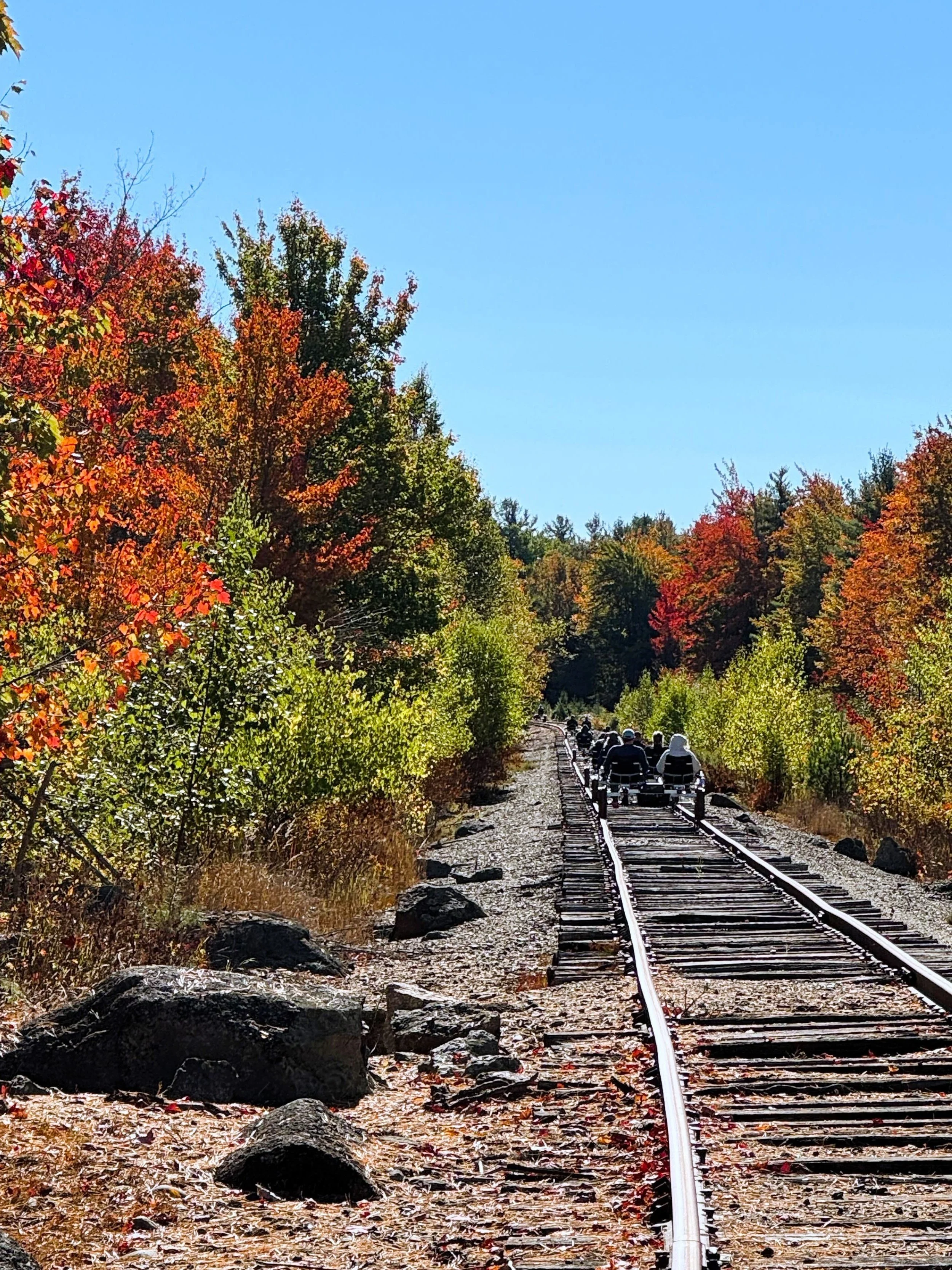 GL_Autumn_Group_cropped.jpg