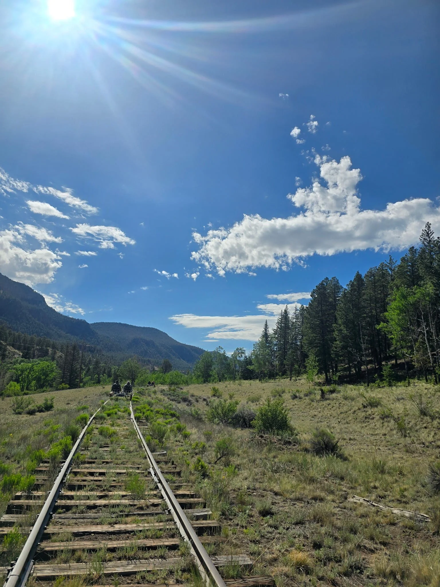 rail biking through the trees in South Fork, CO