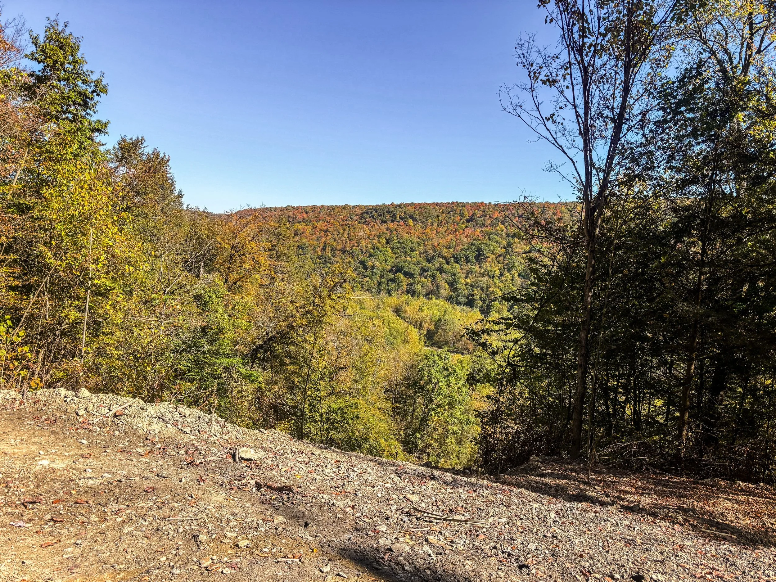 view of fall foliage in Cattaraugus