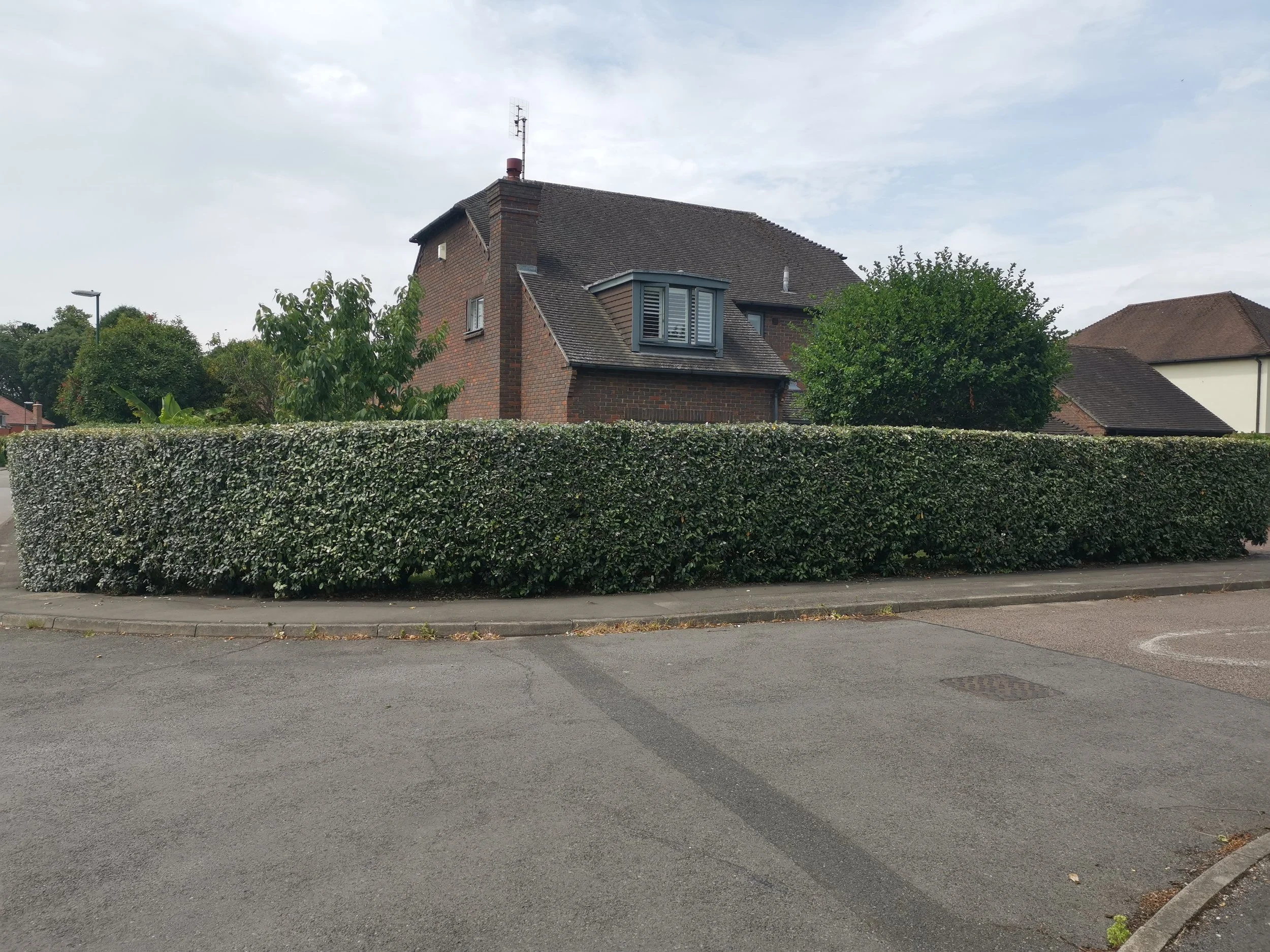 Residential street with a brick house, green bushes, and trees behind a trimmed hedge along the sidewalk.