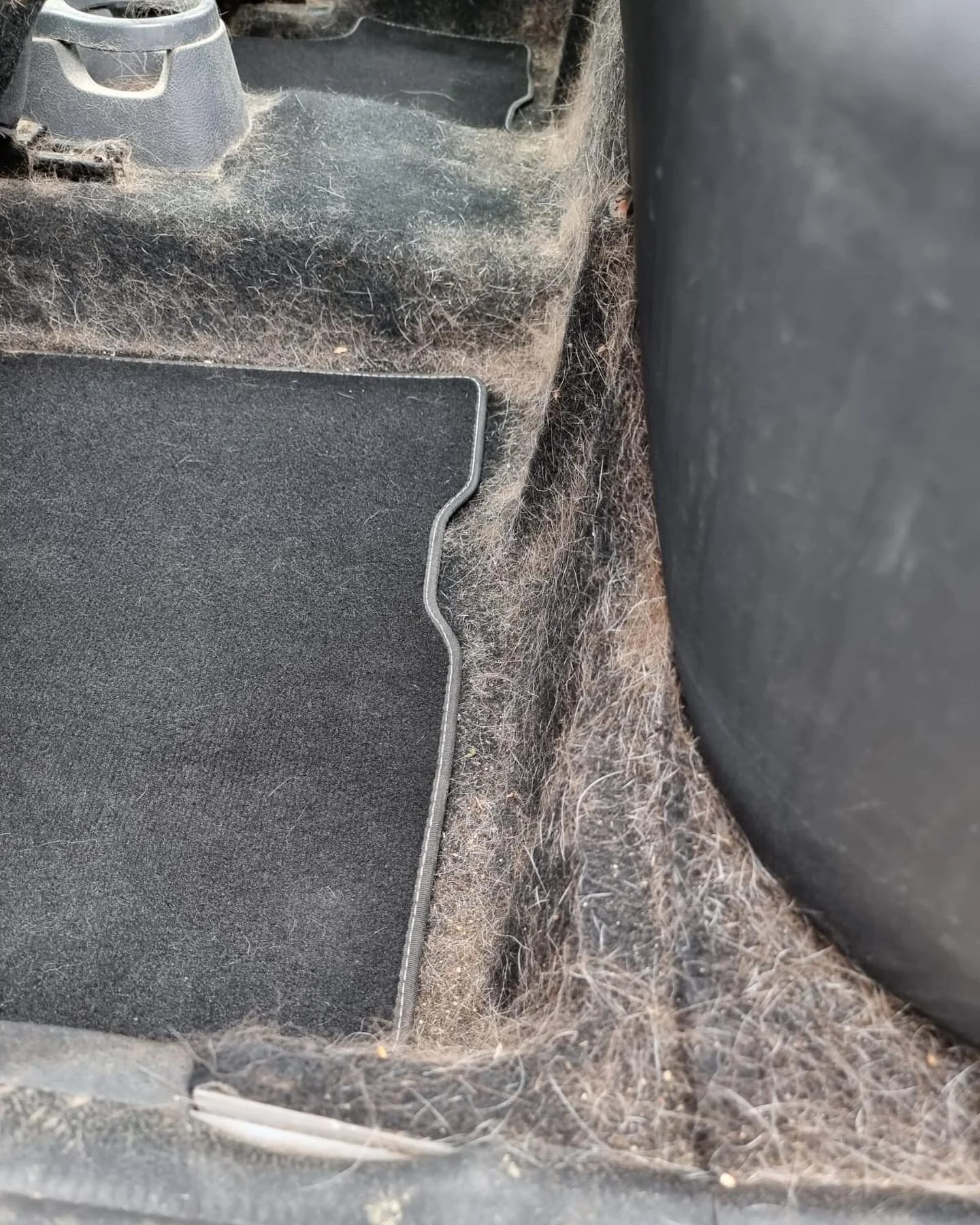 &bull;FLUFFY PESTS!&bull;
We all love our pets but boy do they make a mess sometimes! Wired, fluffy, short or long haired it&rsquo;s all the same to us☺️🐶

Excessive pet hair removal for this Dacia Duster, leaving it spotless once we were complete. 