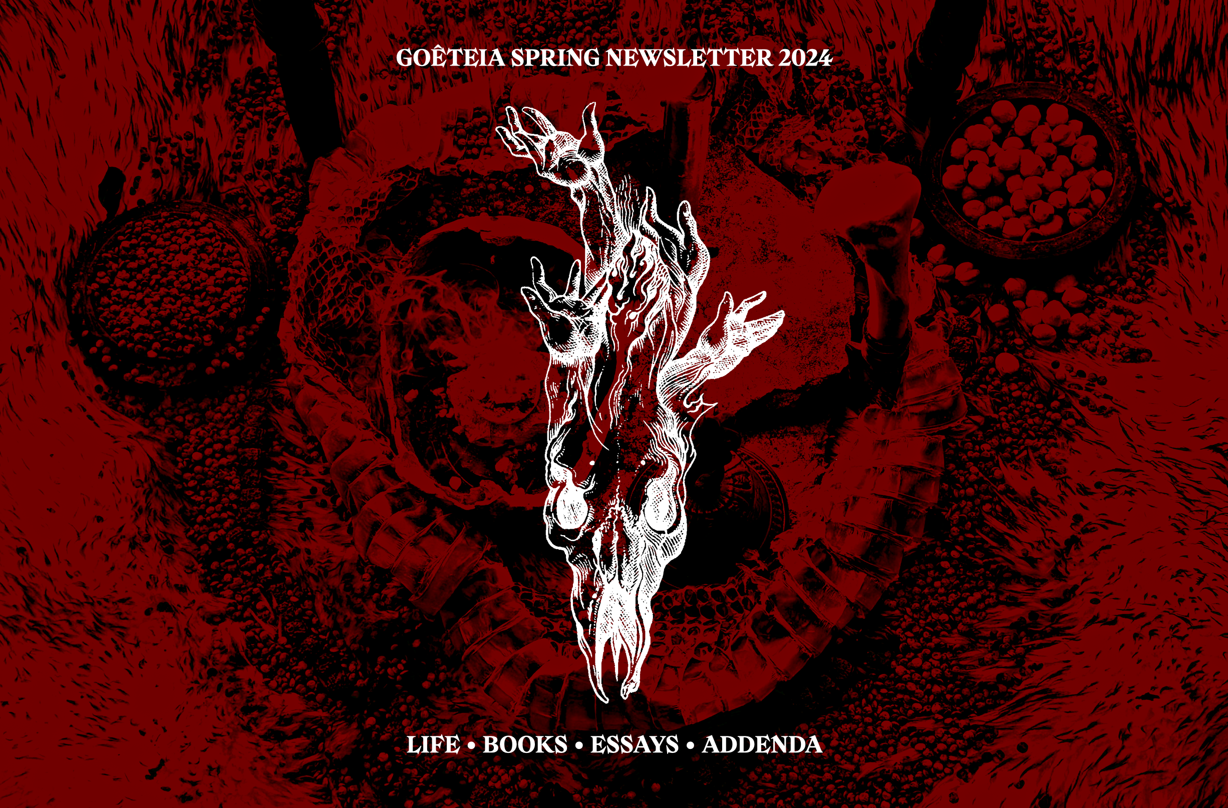 Spring 2024 Newsletter