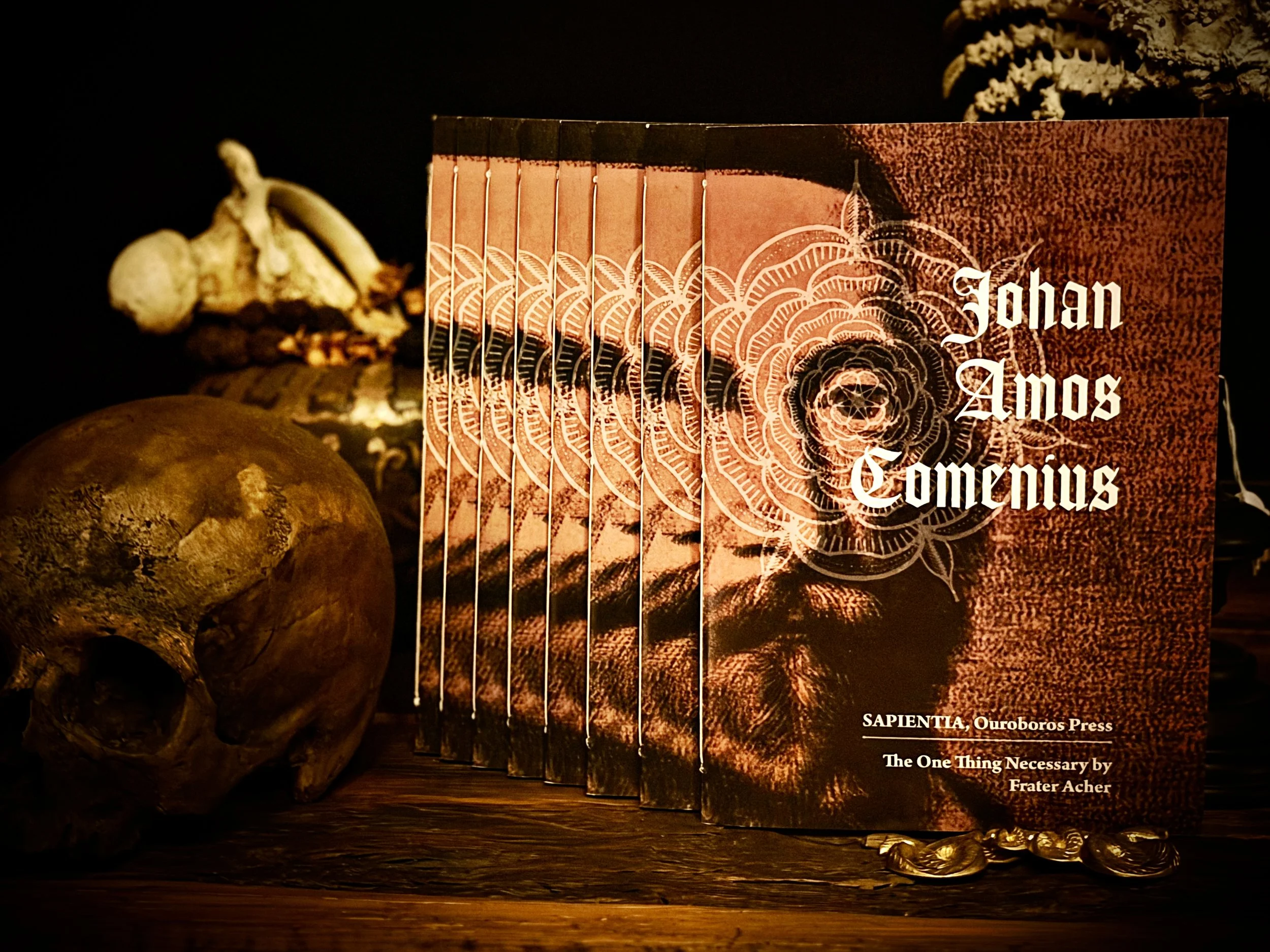 NEW Release