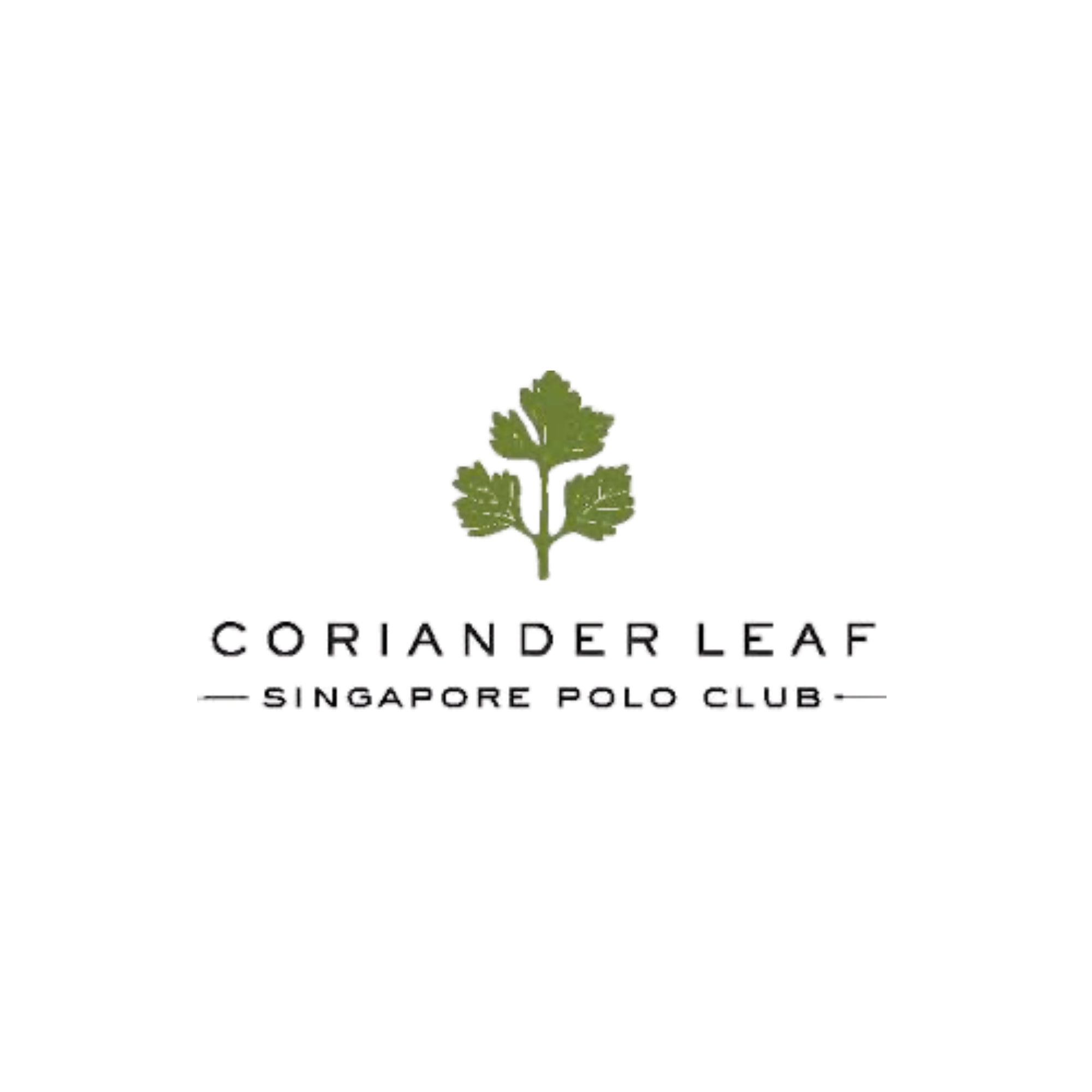 coriander-leaf-singapore-social-media.png