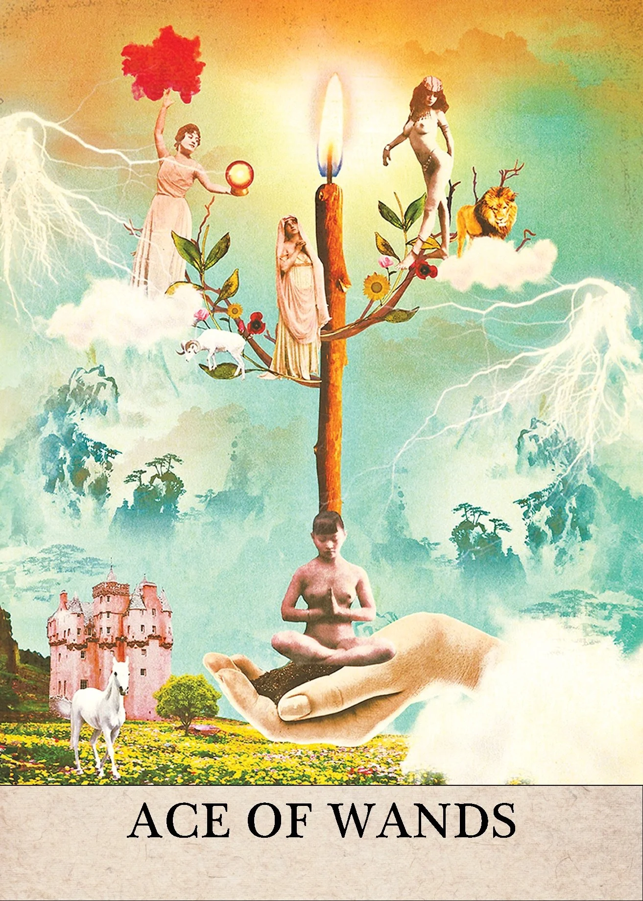 Ace of Wands.jpeg