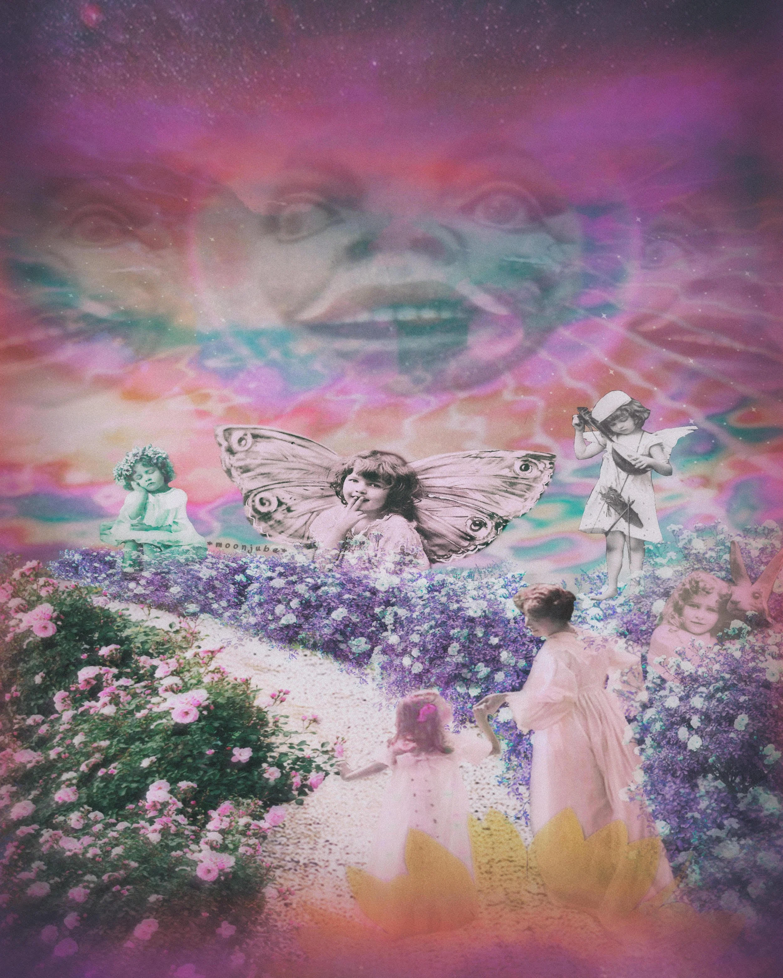 wayweird wander.jpg