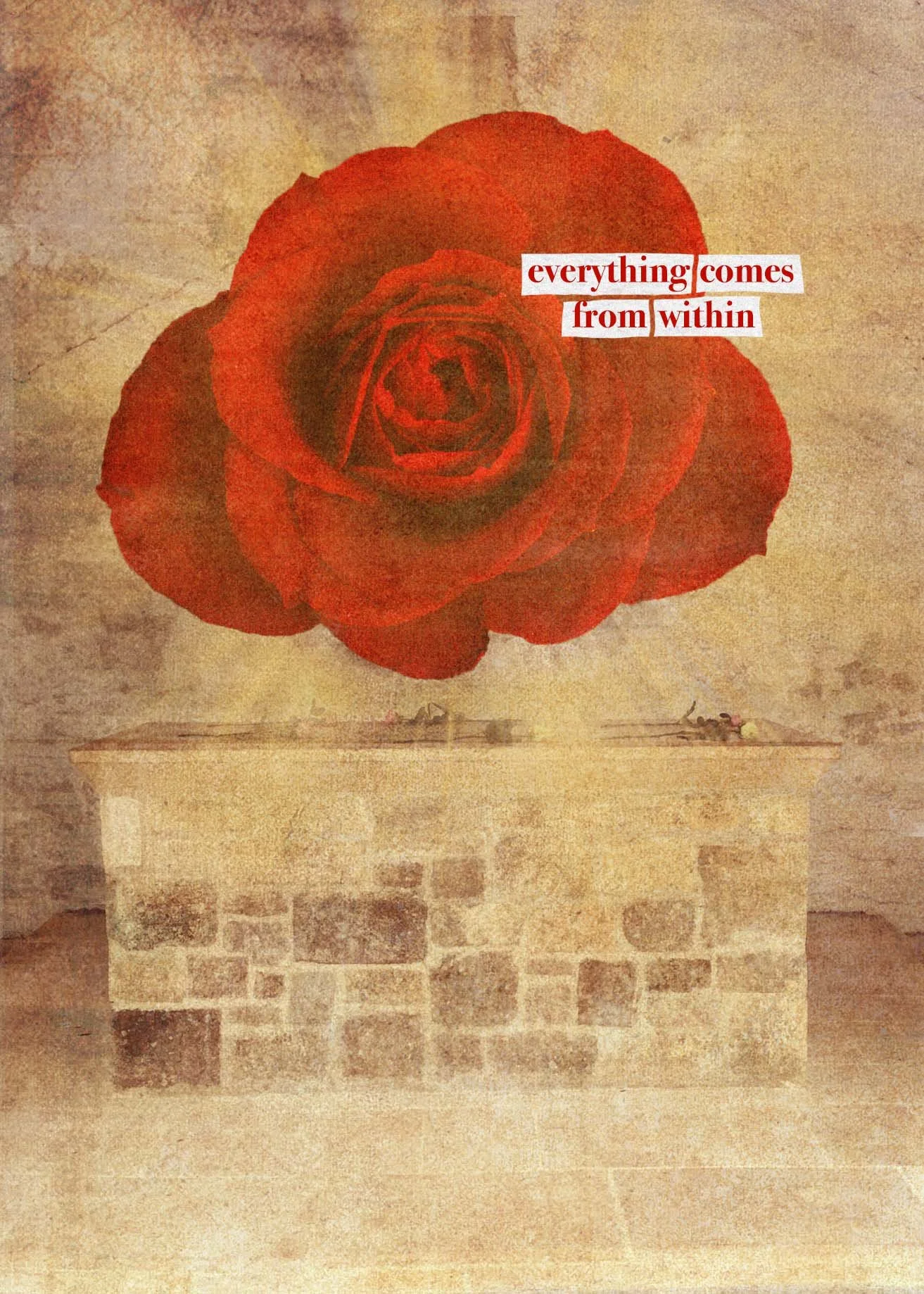 The Rose.jpg