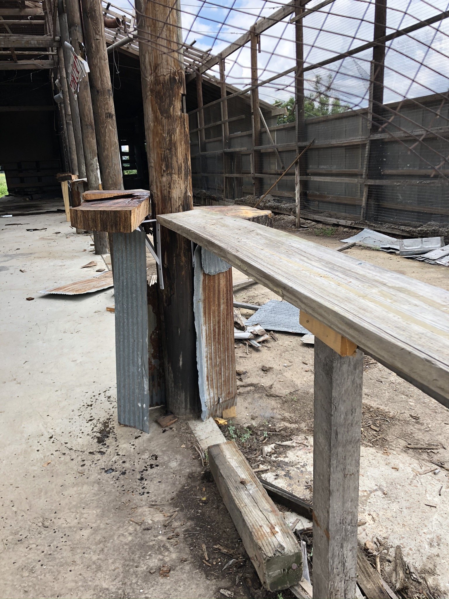 IMG_3716 - Copy.JPEG