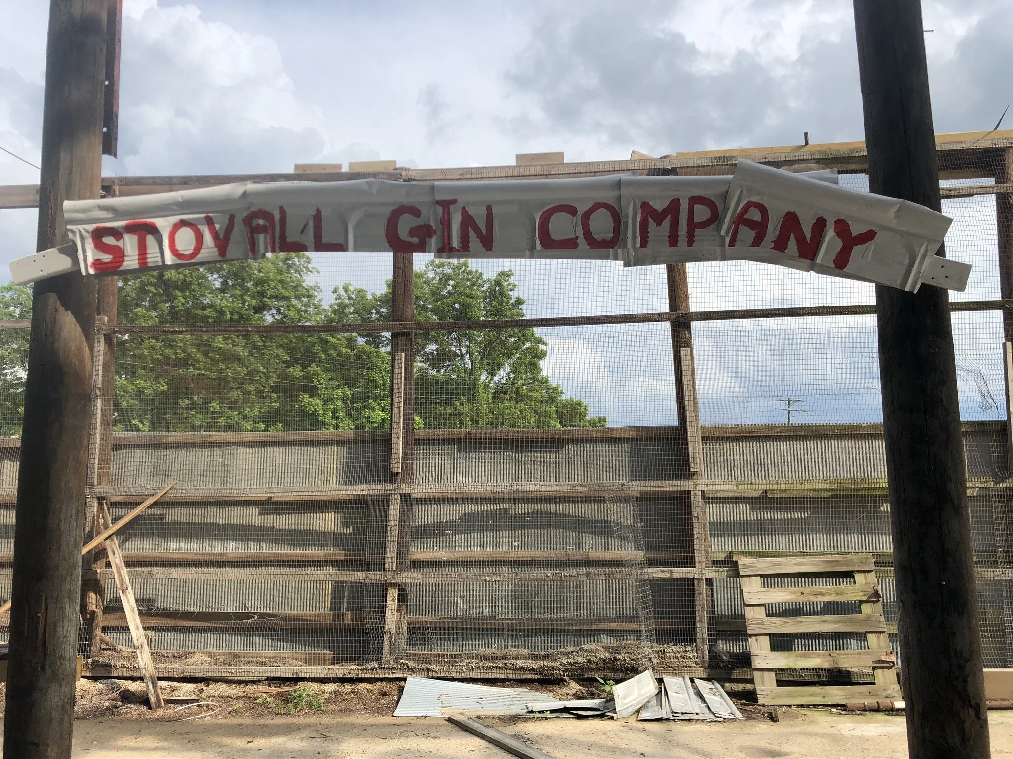 IMG_3722 - Copy.JPEG