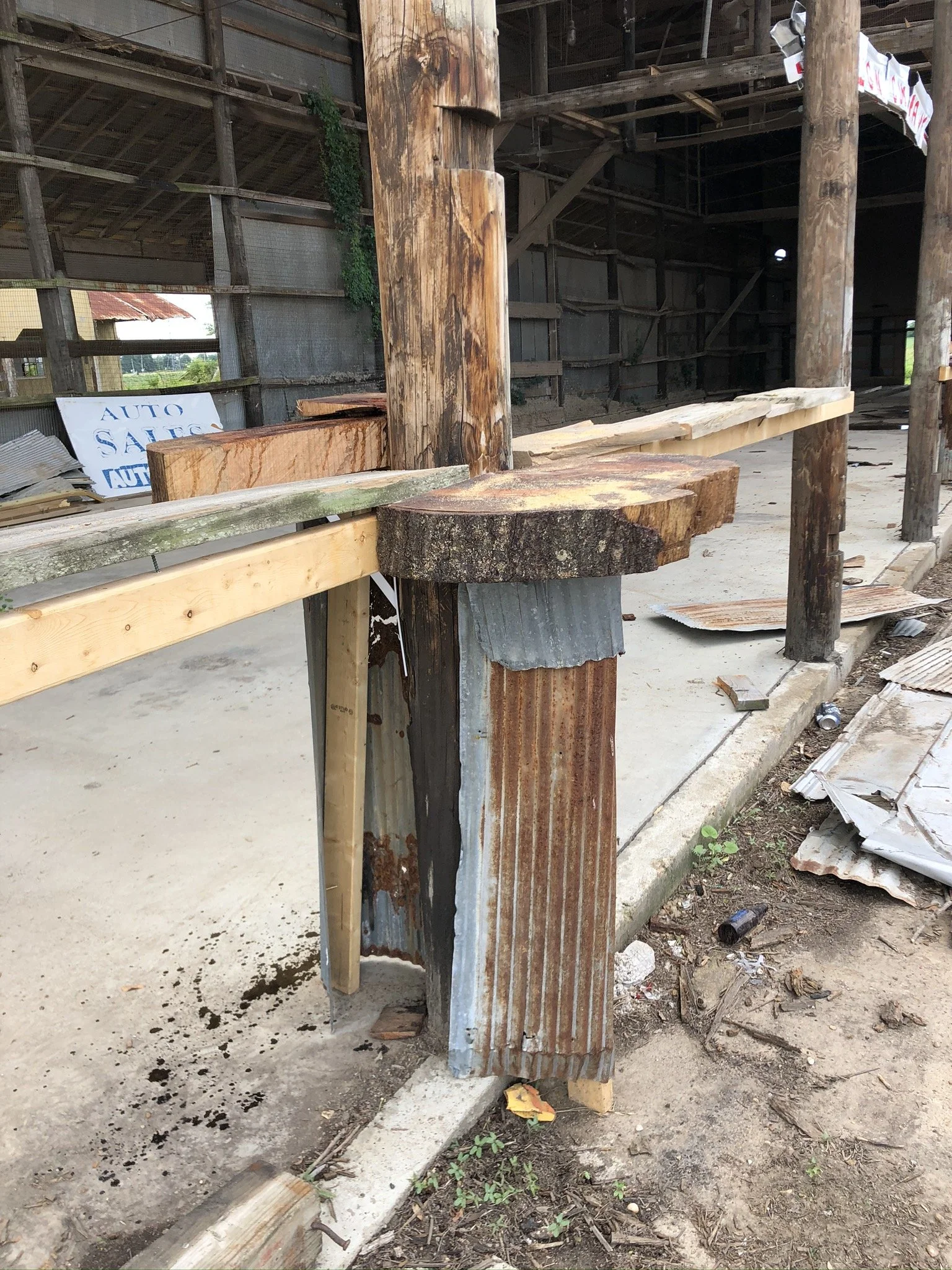 IMG_3717 - Copy.JPEG