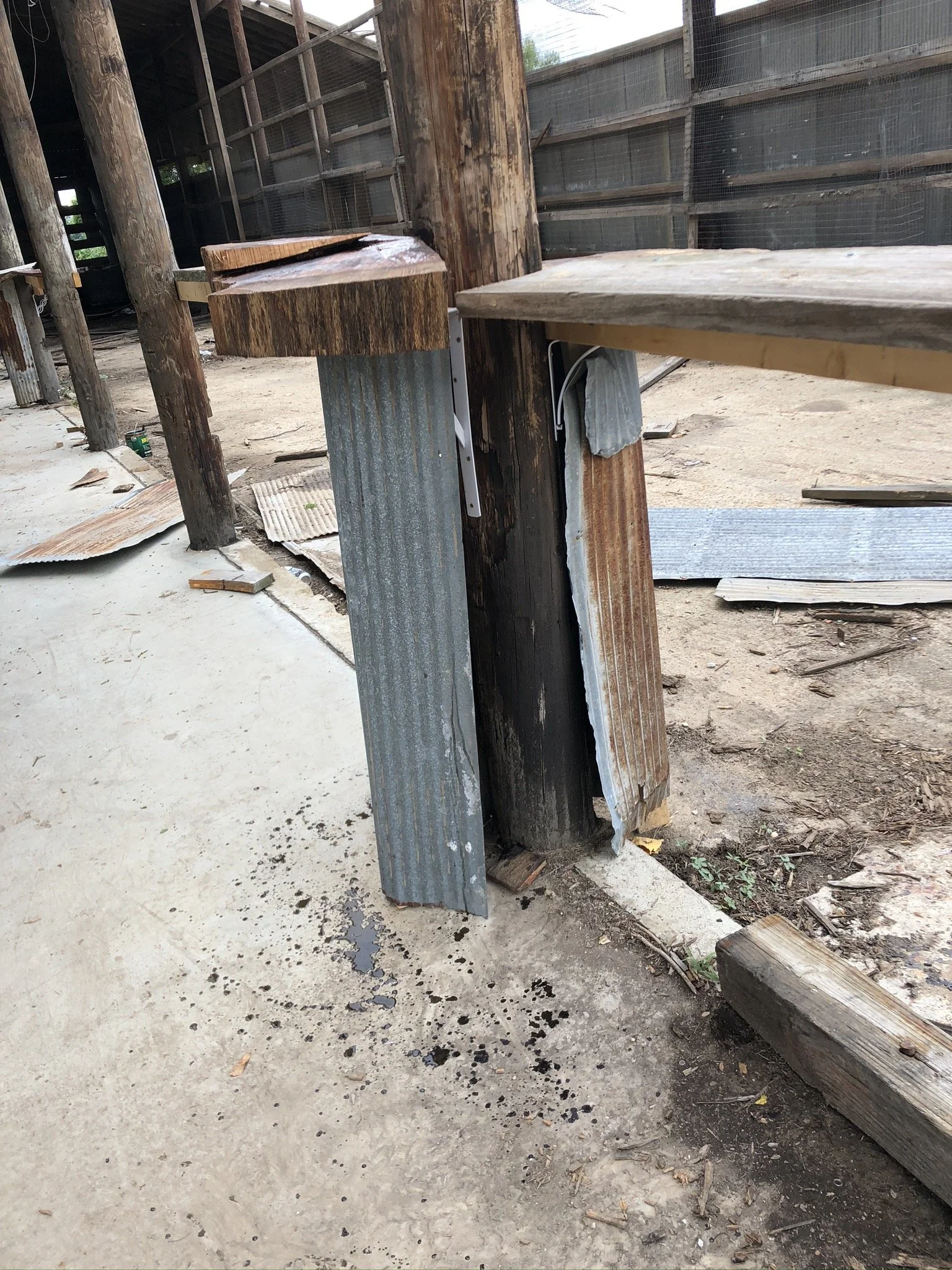 IMG_3715 - Copy.JPEG