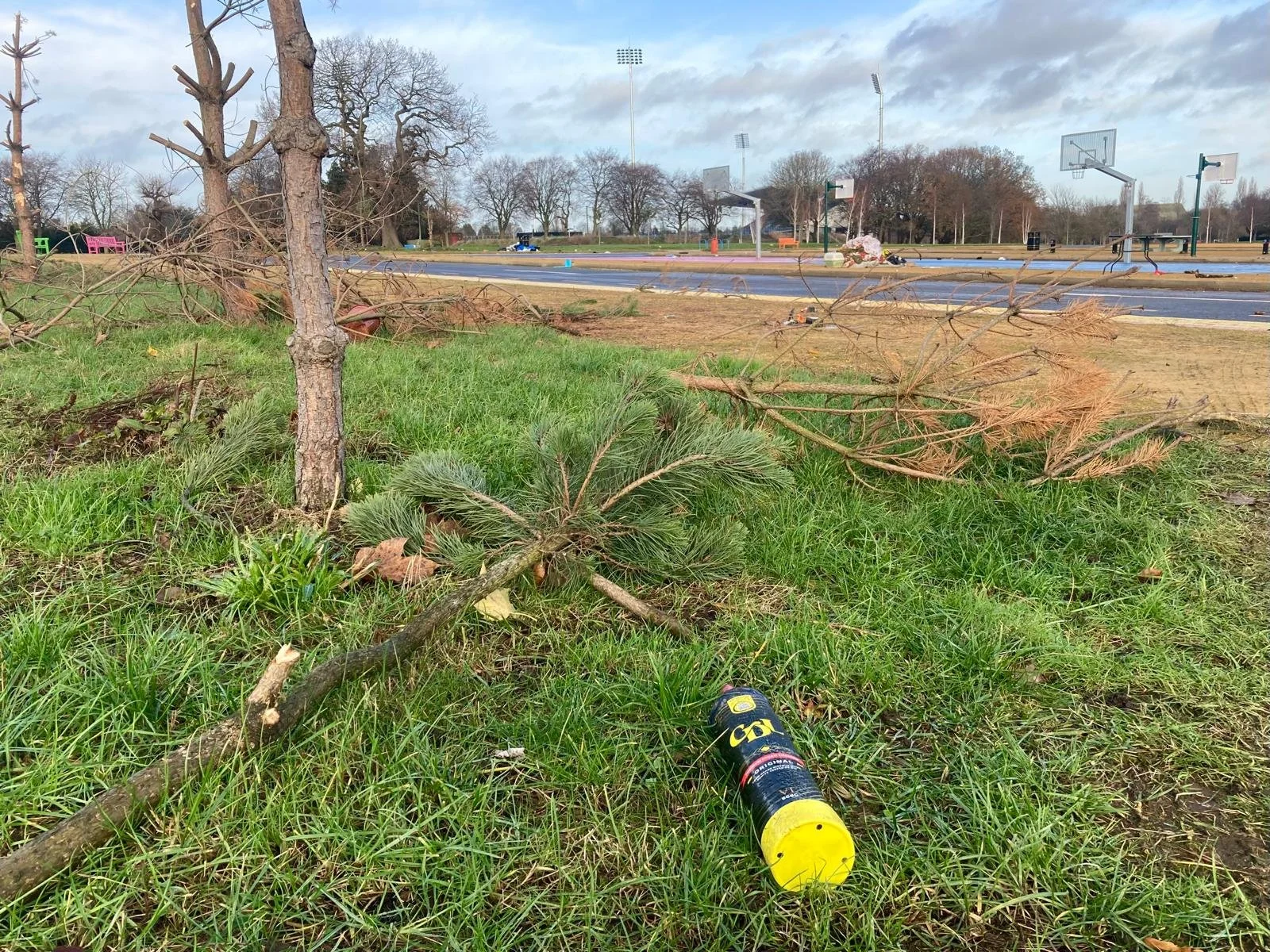 Park trees destroyed