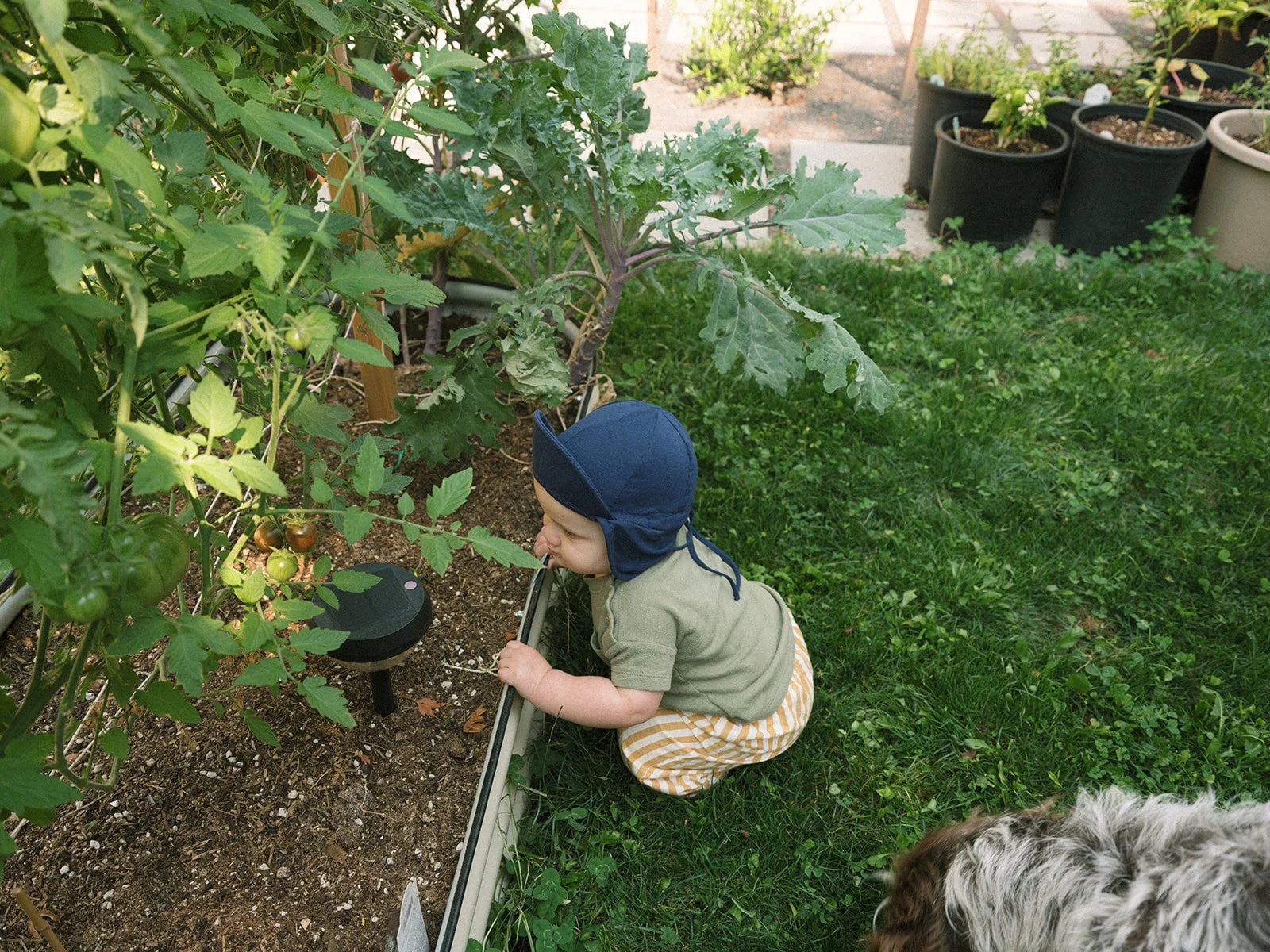 Mel + Family _ NE Portland 158_websize.jpg