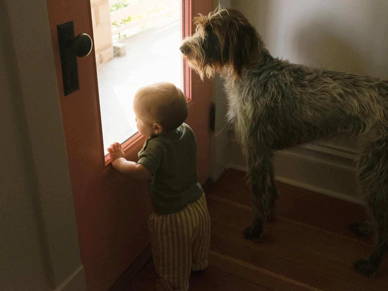 Mel + Family _ NE Portland 49_websize.jpg