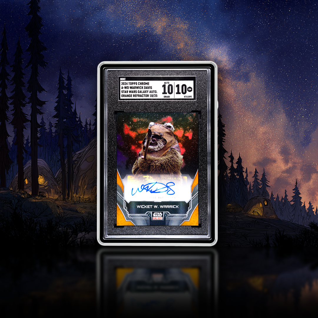 Wicket Reflection 18-25b.png