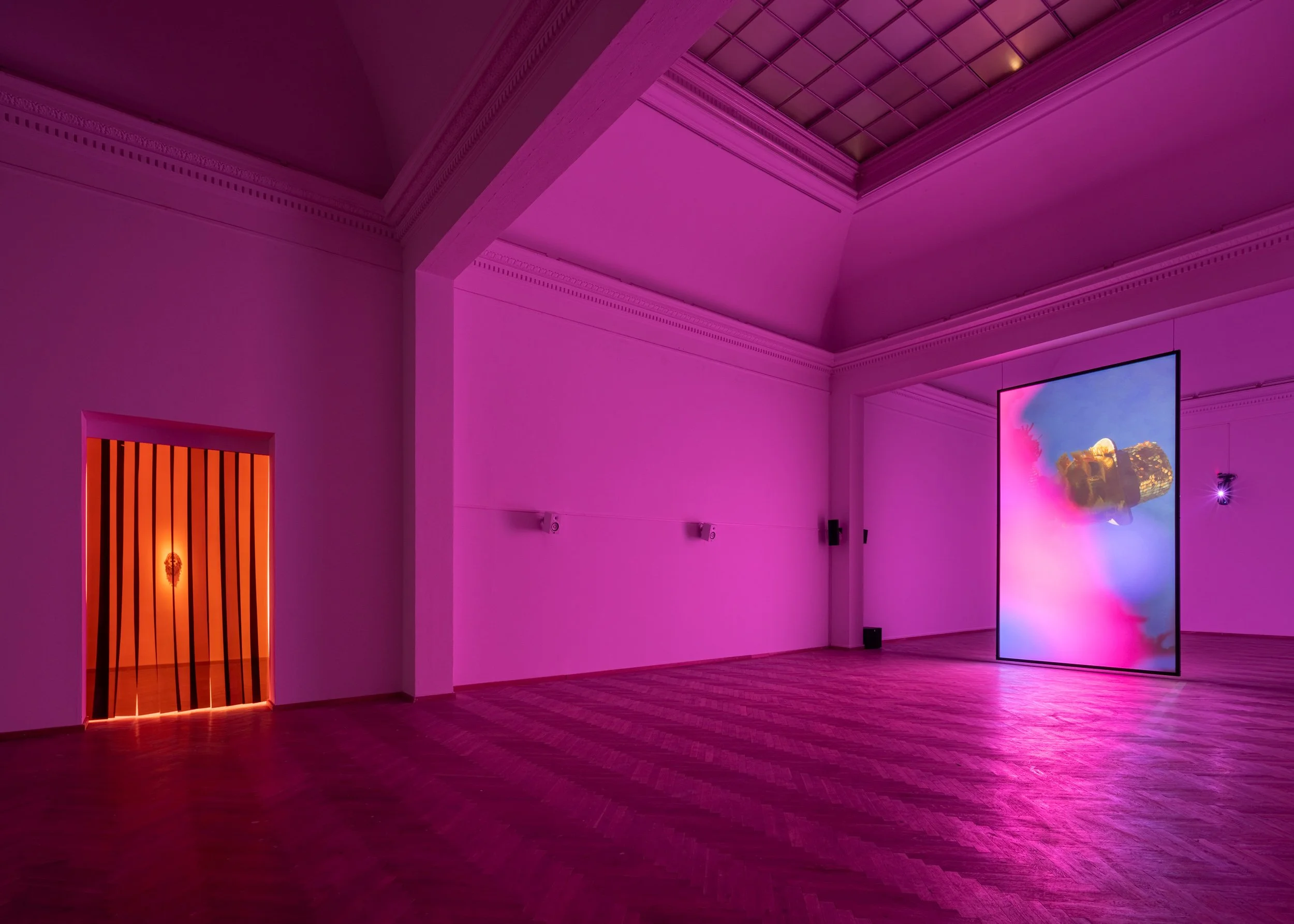 Moko is Future, 2022. Installation view, Charlottenborg, 2022. Photo by David Stjernholm.