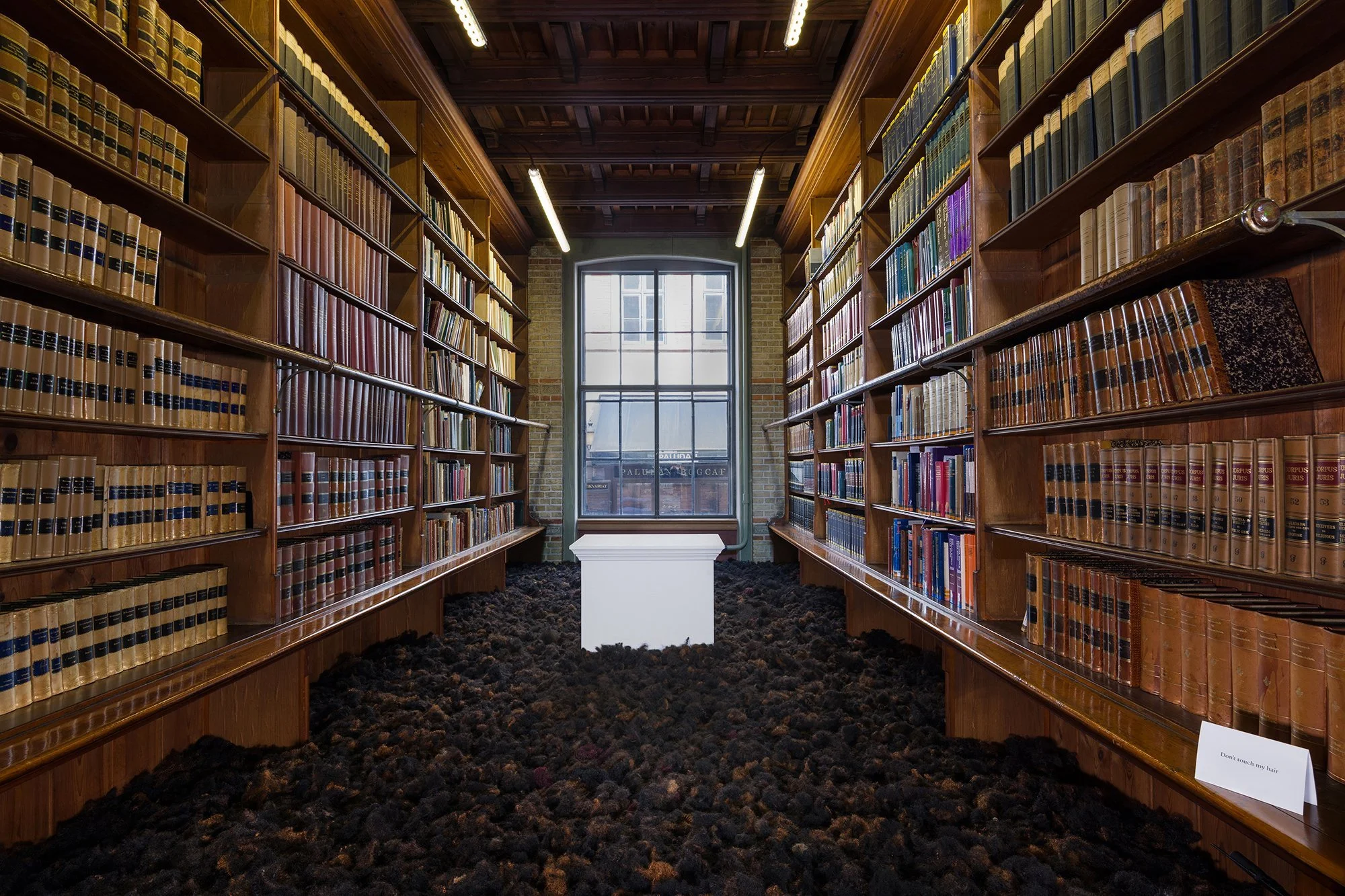 We're Magic. We're Real 1#