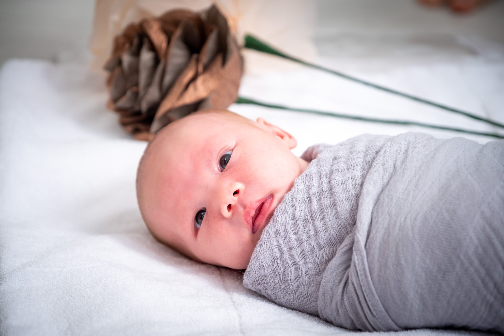 Singapore-Newborn-Photographer-4178.jpeg