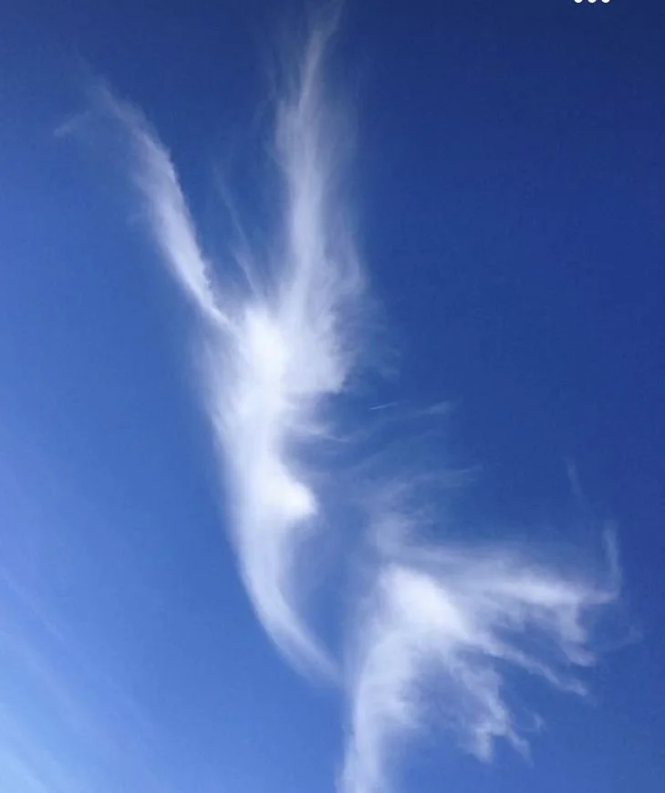 SPIRALE online “IL VENTO”