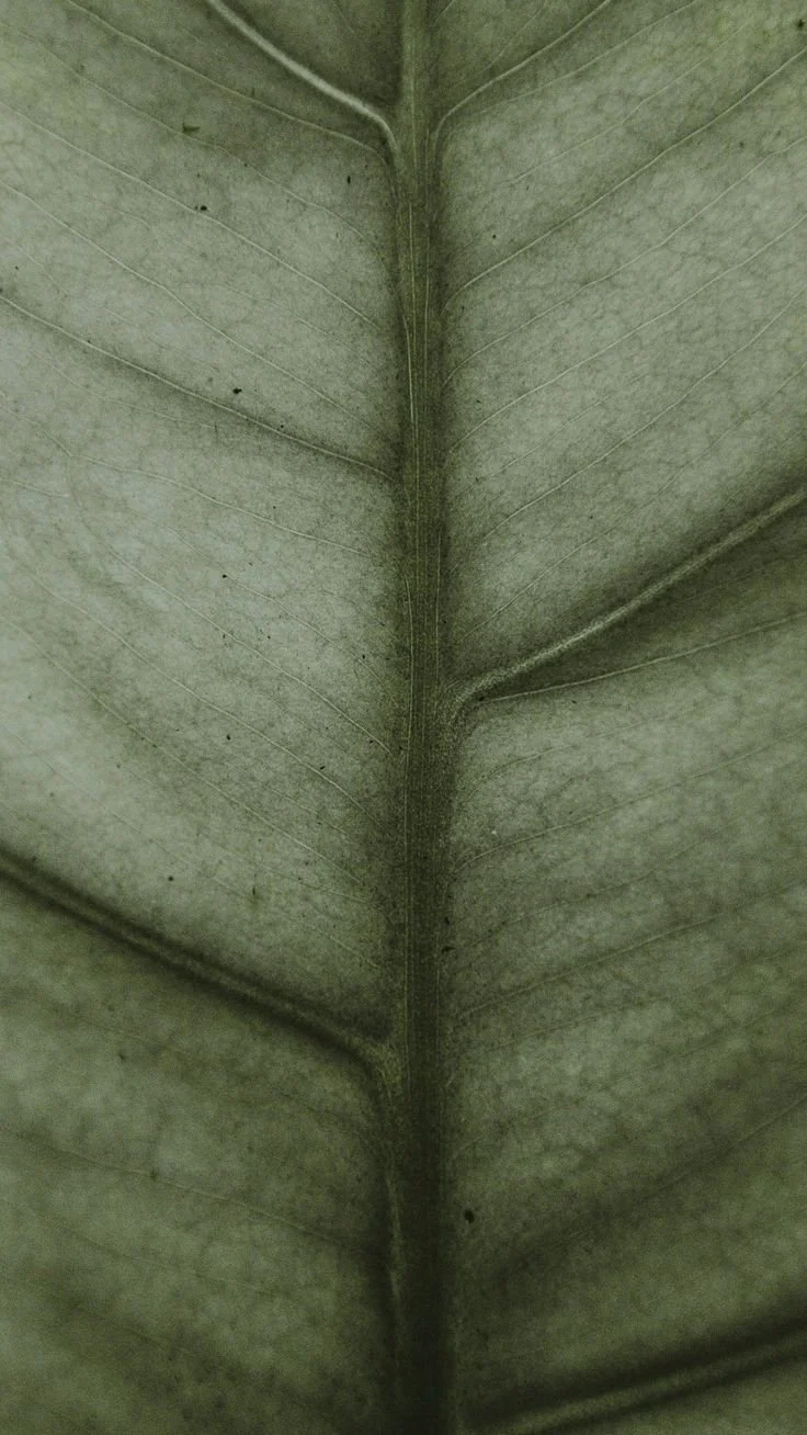 CERIMONIA “DECORATE THE MYSTERY”