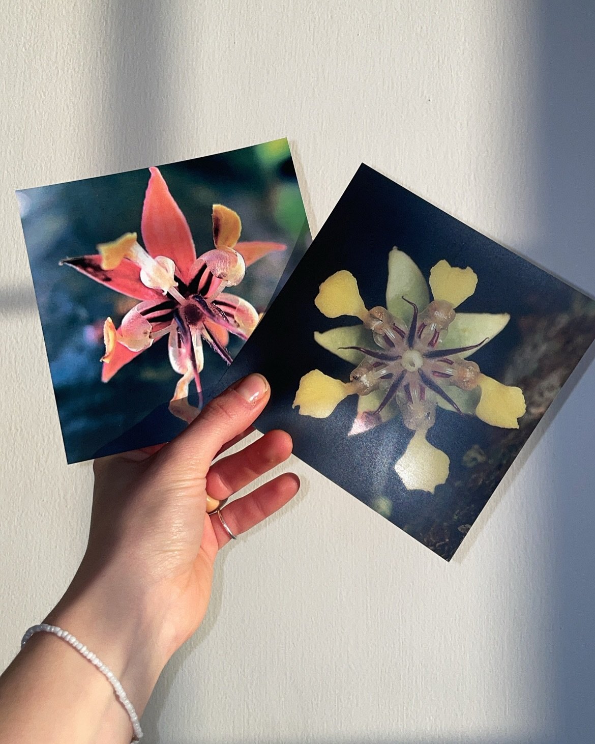 Sveliamoci e trasformiamoci 🐦&zwj;🔥 C&rsquo;&egrave; della difficolt&agrave; in me ad aprire a tutti ci&ograve; che faccio, dalla mia arte, alle mie performance, alla poesia, dai miei studi esoterici, alle mie canalizzazioni, fino ad arrivare alle 